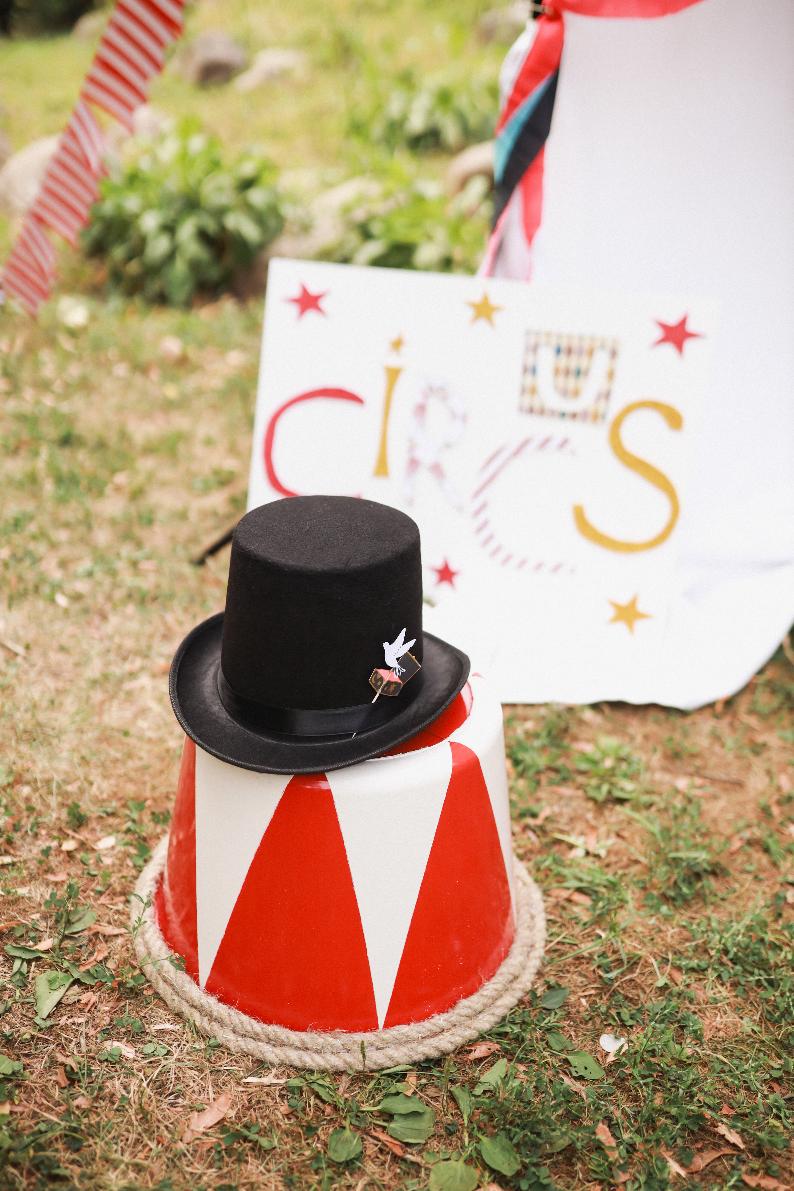 Праздник в стиле старинный цирк. Детский и семейный фотограф Москва Виктория Самоховец