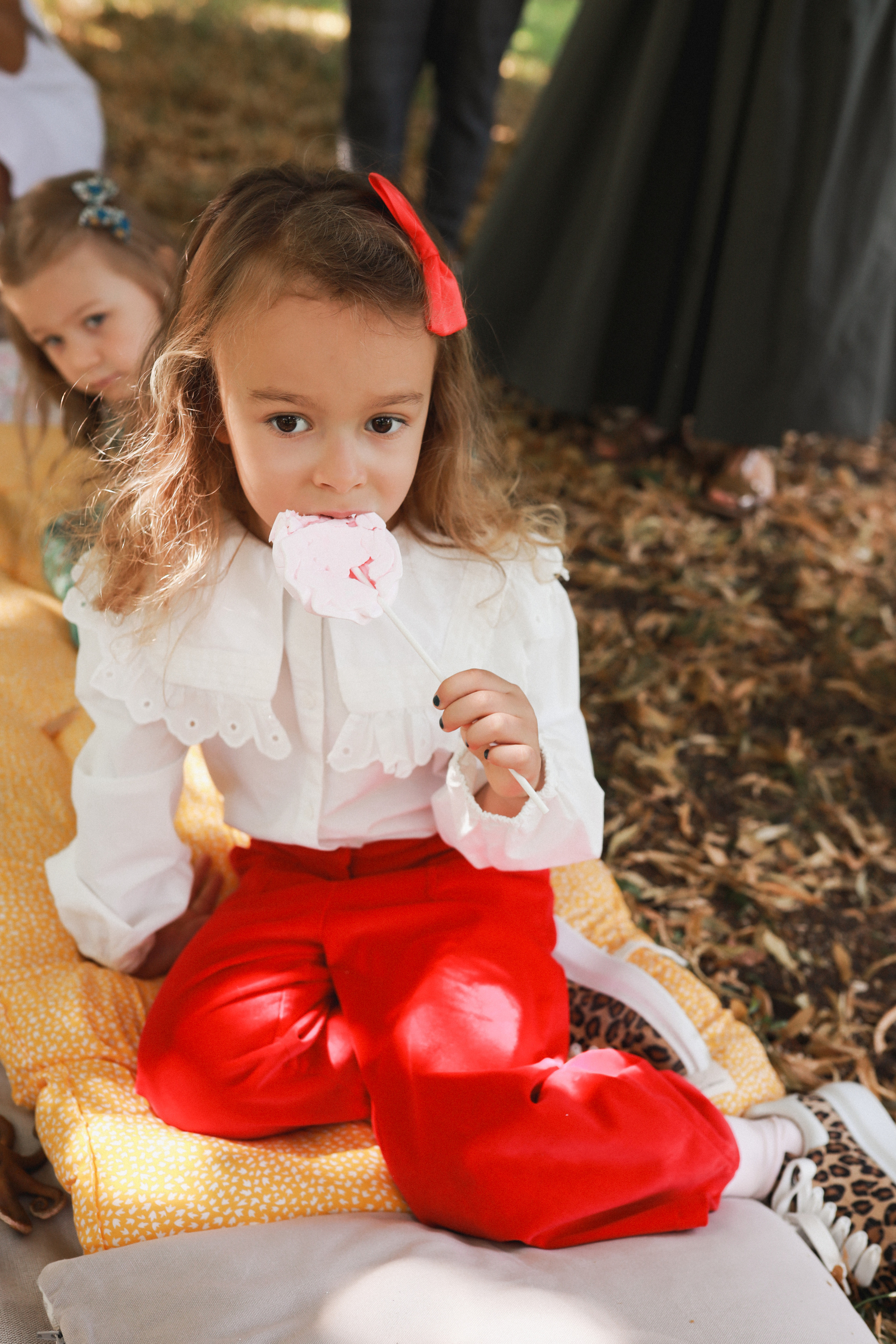 Летний пикник Алиса в стране чудес. Детский и семейный фотограф Москва Виктория Самоховец