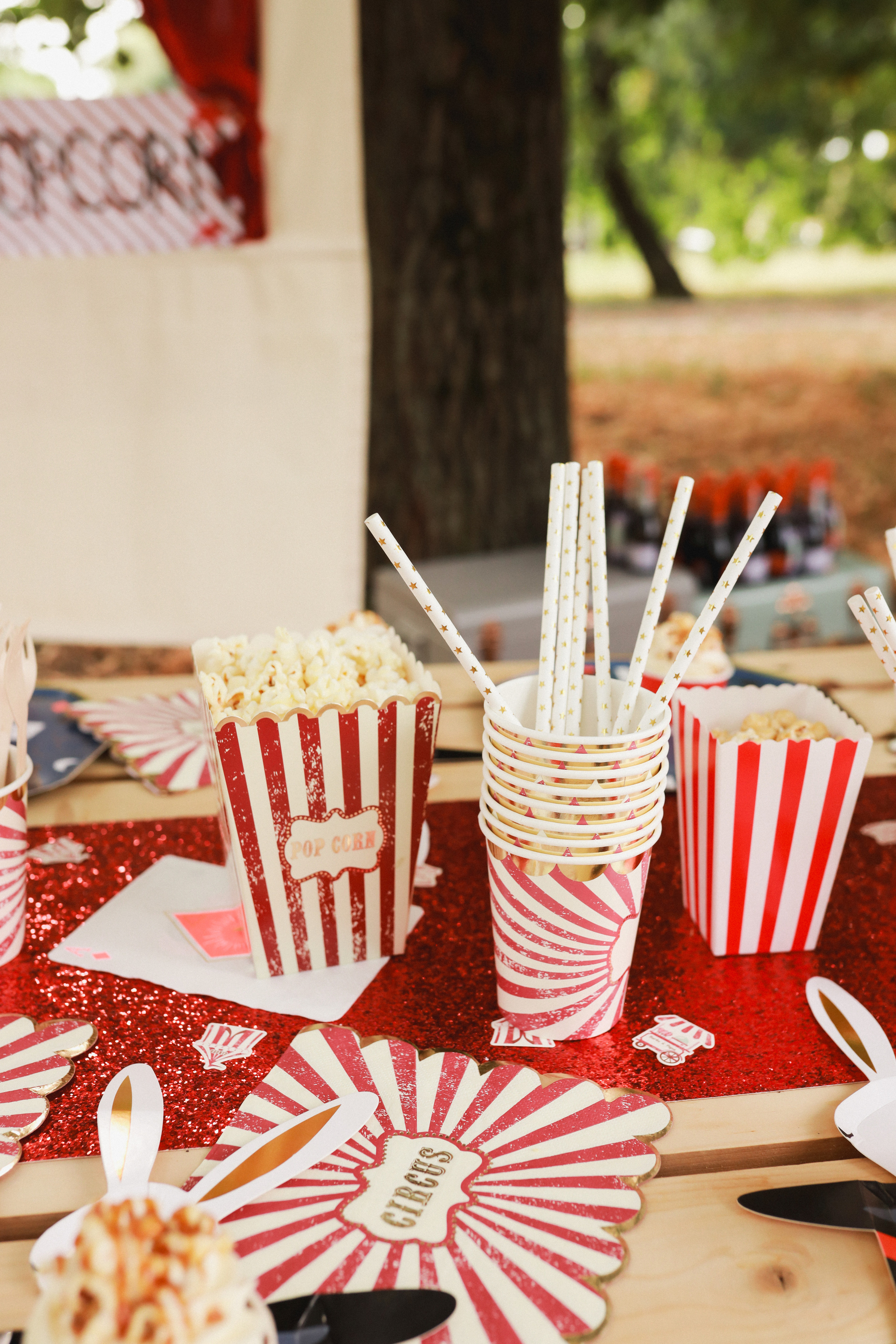 Праздник в стиле старинный цирк. Детский и семейный фотограф Москва Виктория Самоховец