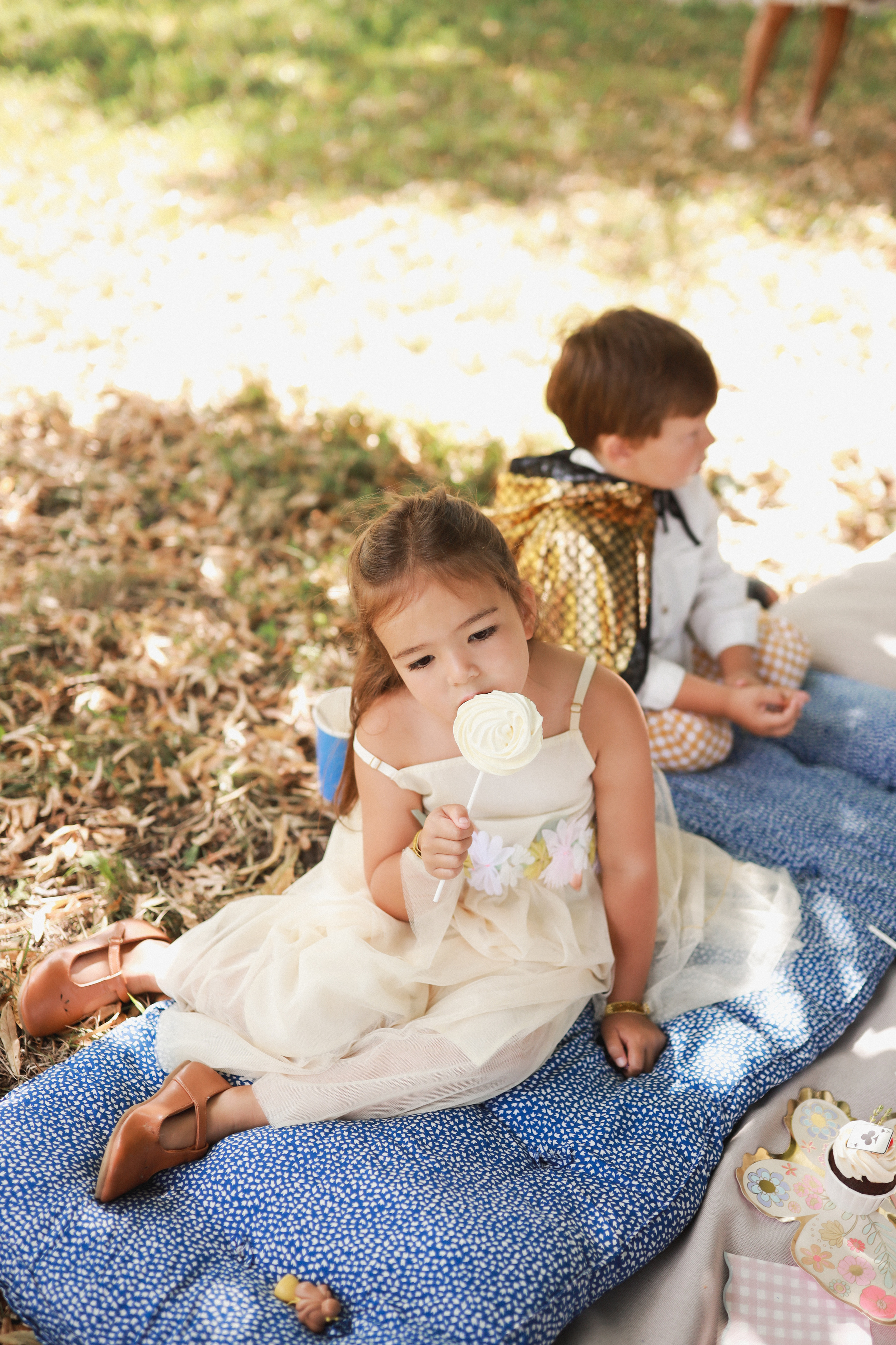 Летний пикник Алиса в стране чудес. Детский и семейный фотограф Москва Виктория Самоховец