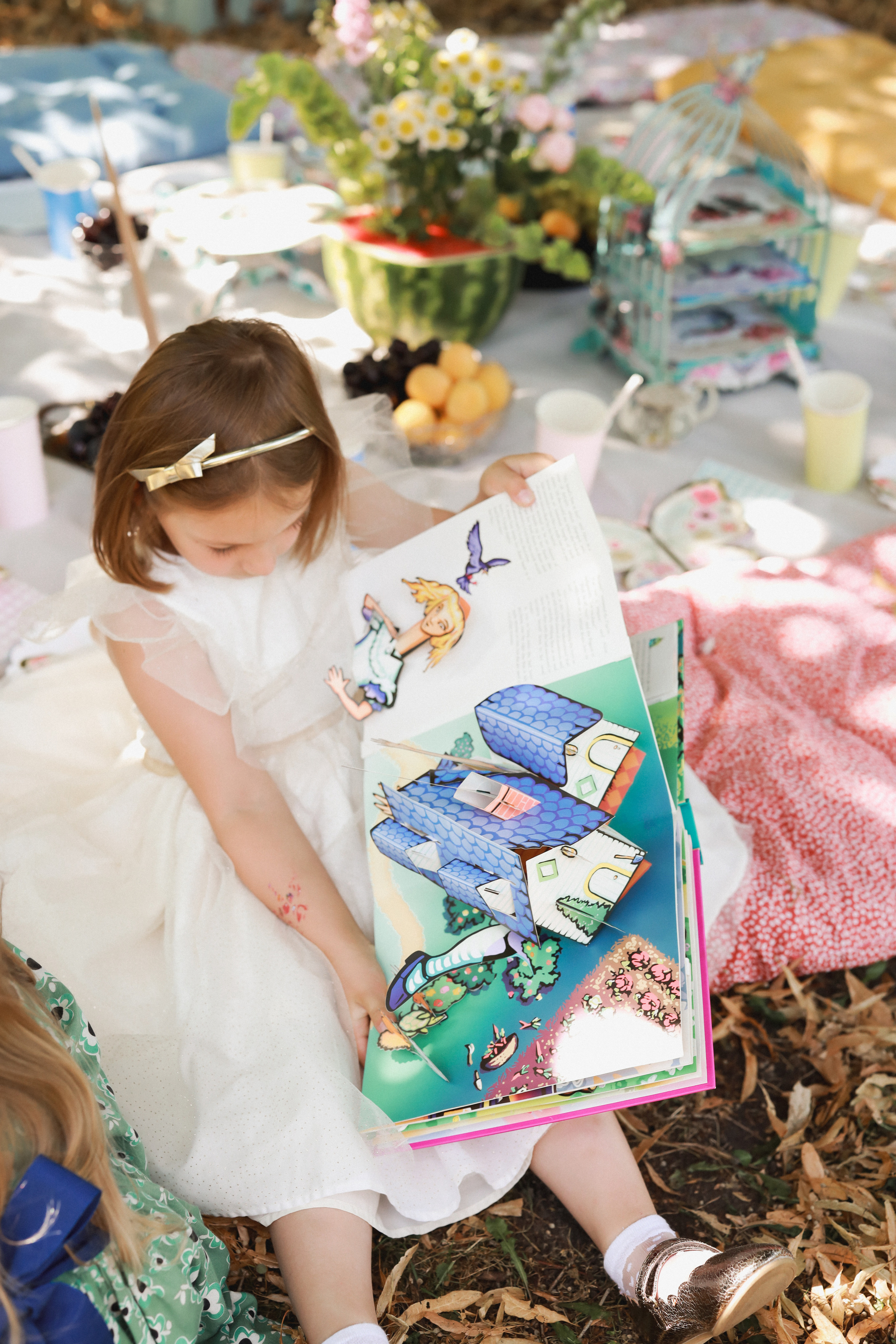 Летний пикник Алиса в стране чудес. Детский и семейный фотограф Москва Виктория Самоховец