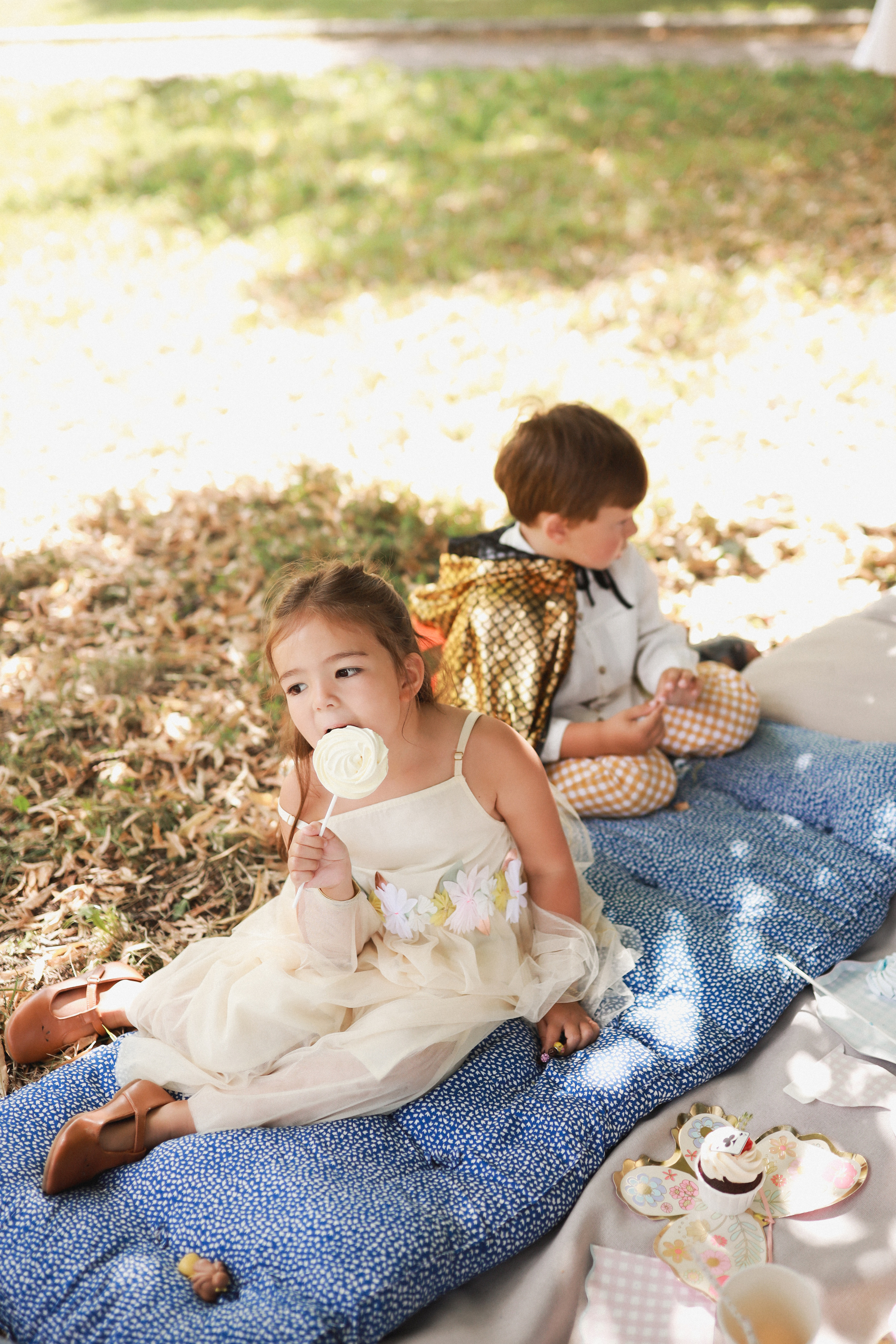 Летний пикник Алиса в стране чудес. Детский и семейный фотограф Москва Виктория Самоховец