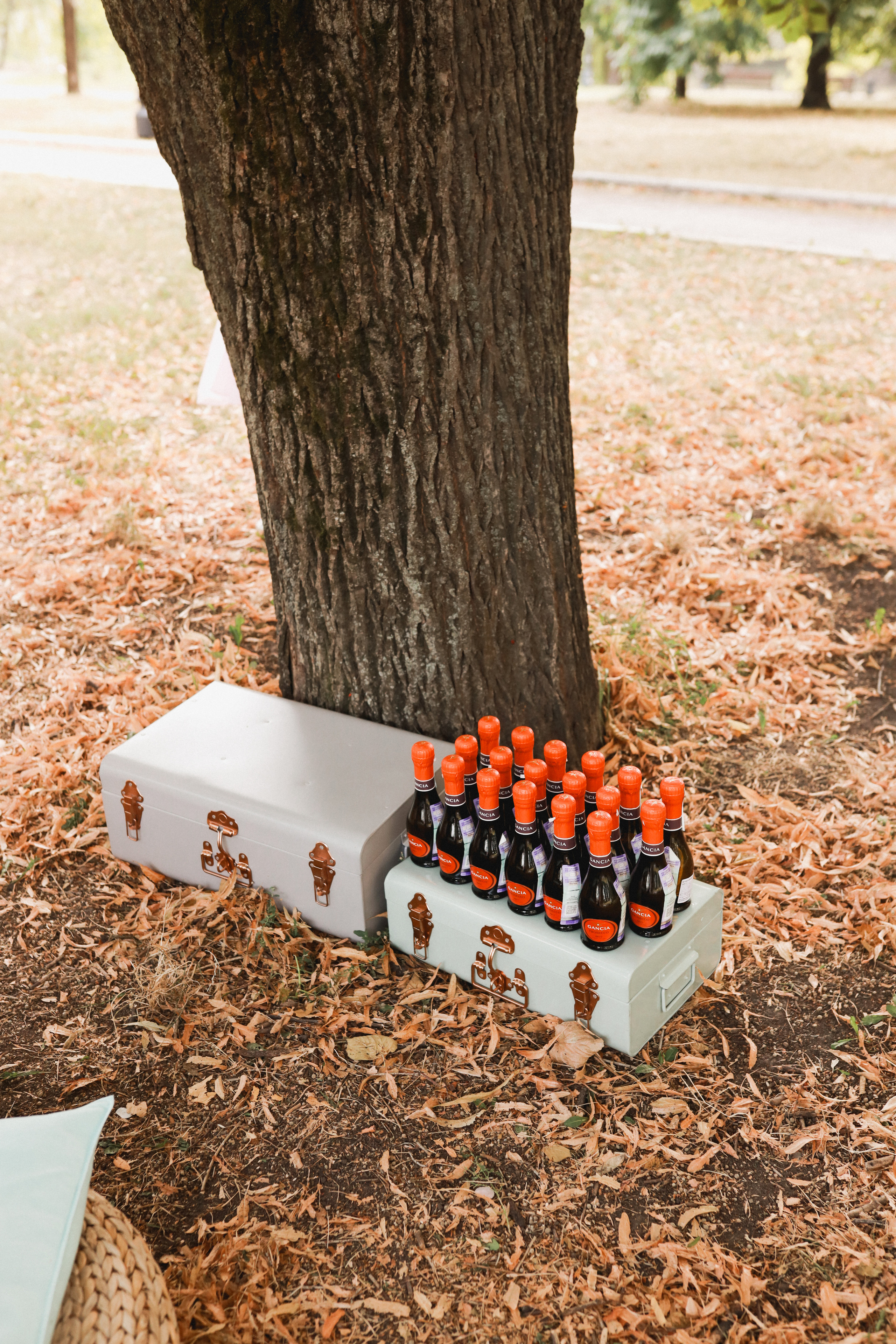 Праздник в стиле старинный цирк. Детский и семейный фотограф Москва Виктория Самоховец