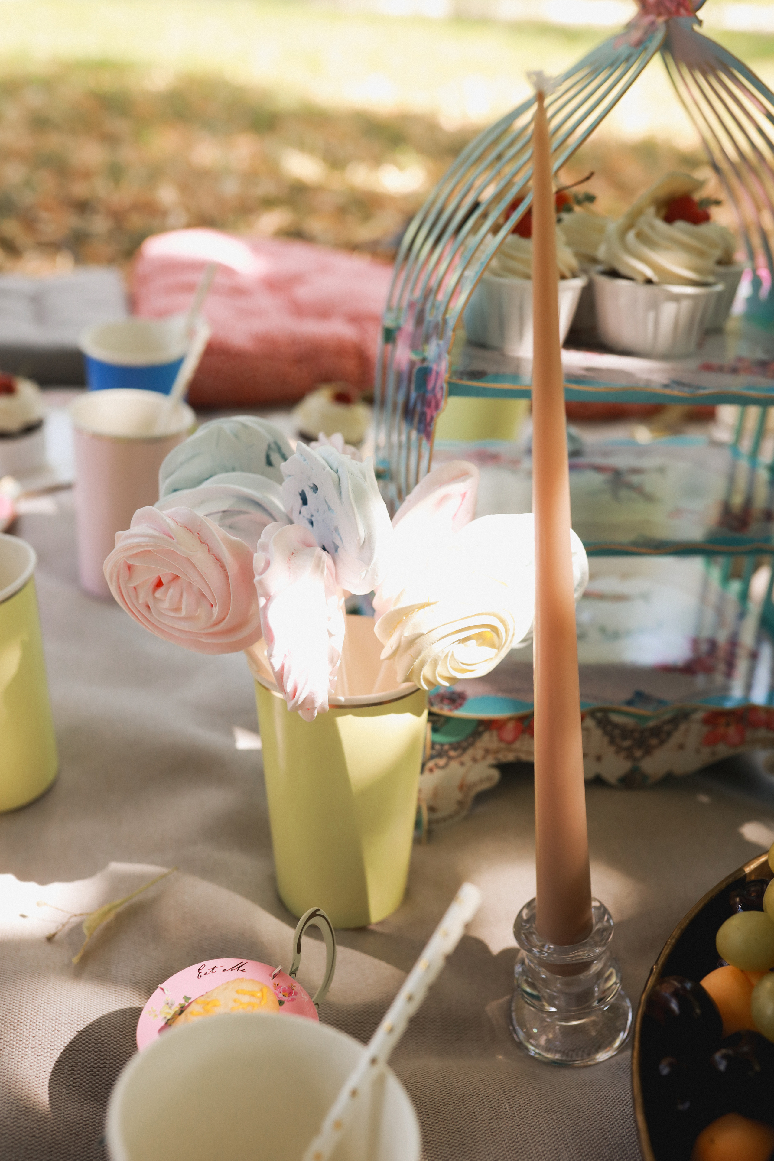 Летний пикник Алиса в стране чудес. Детский и семейный фотограф Москва Виктория Самоховец