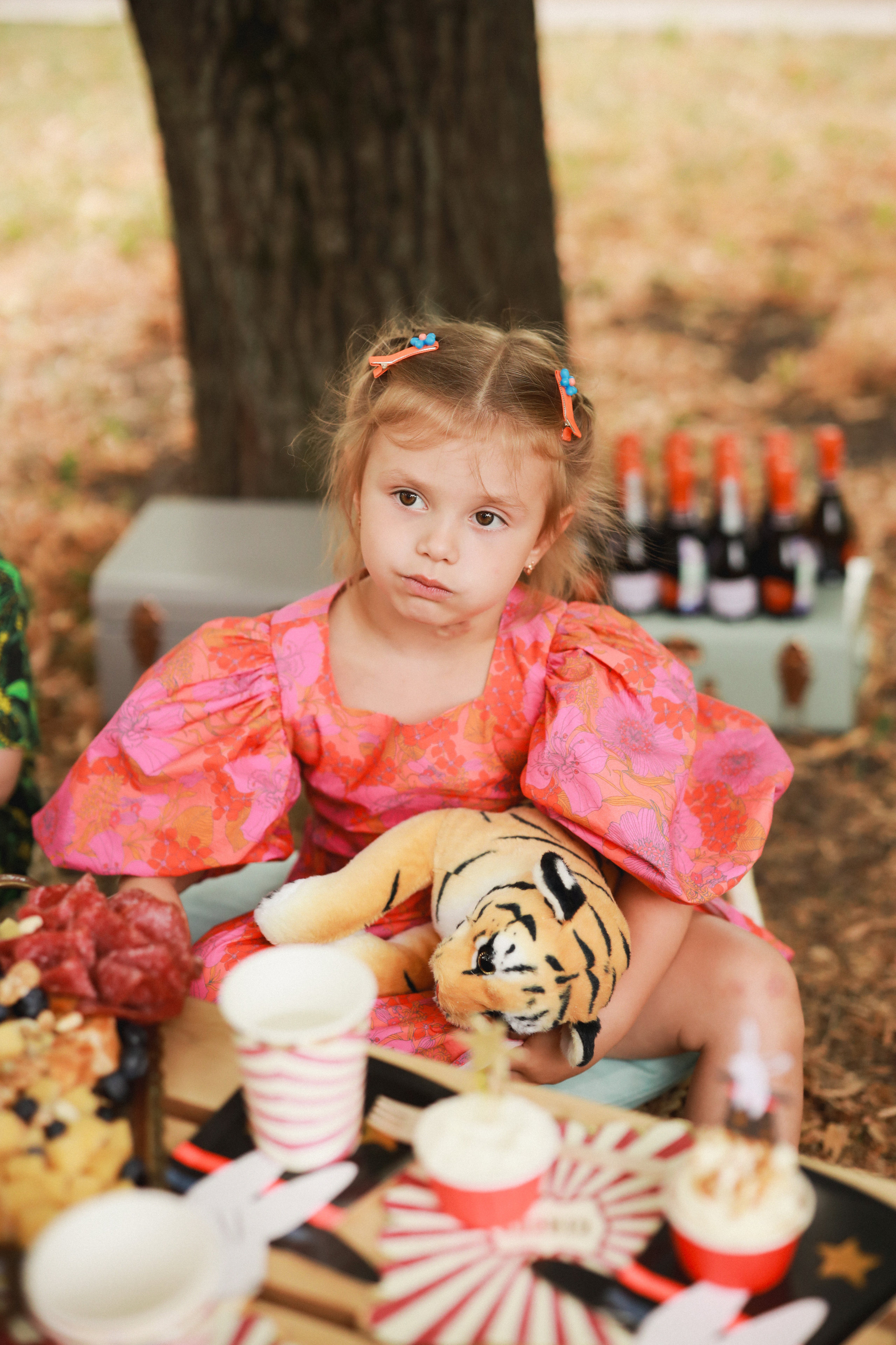 Праздник в стиле старинный цирк. Детский и семейный фотограф Москва Виктория Самоховец