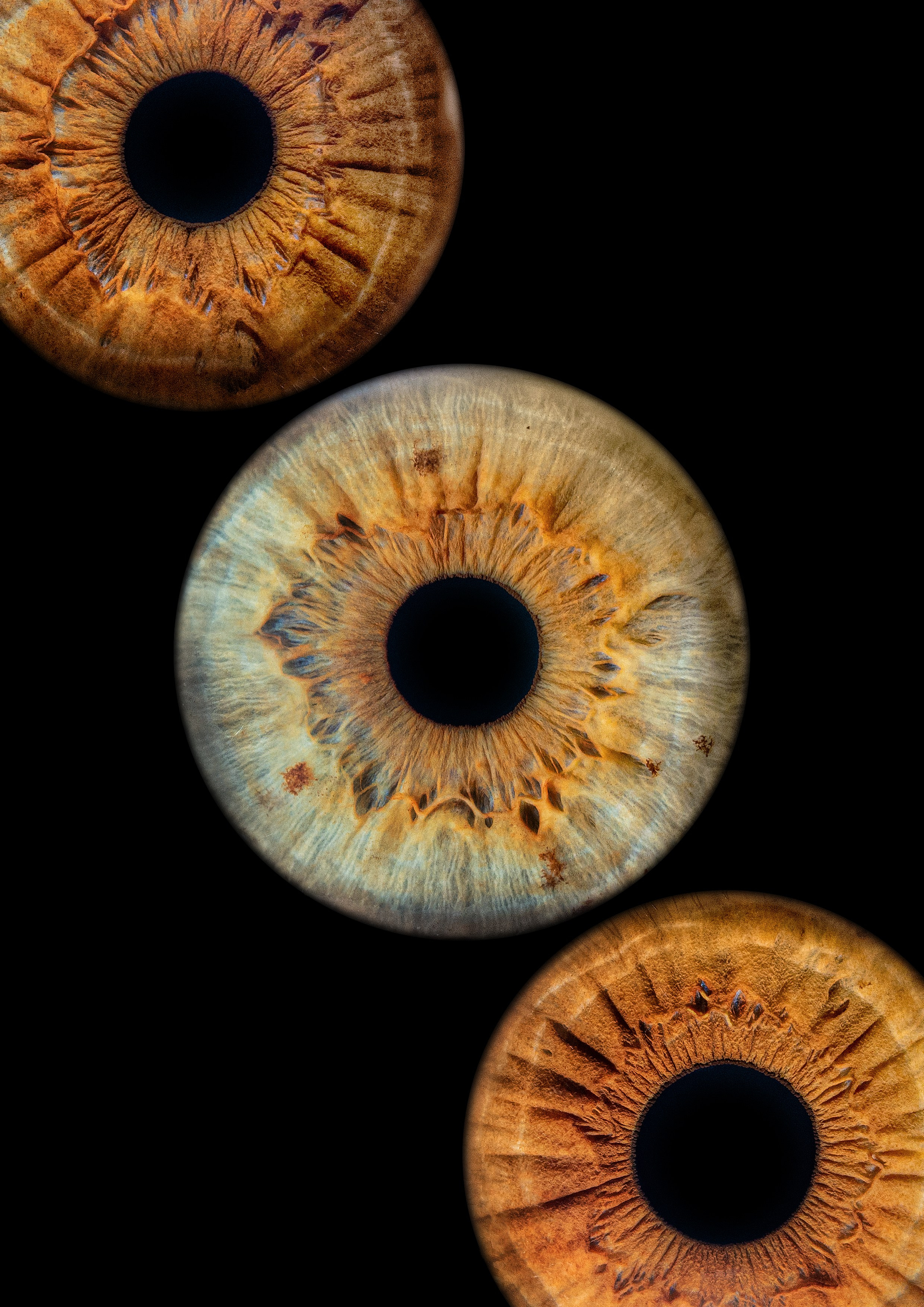 Примеры работ. Мой глаз