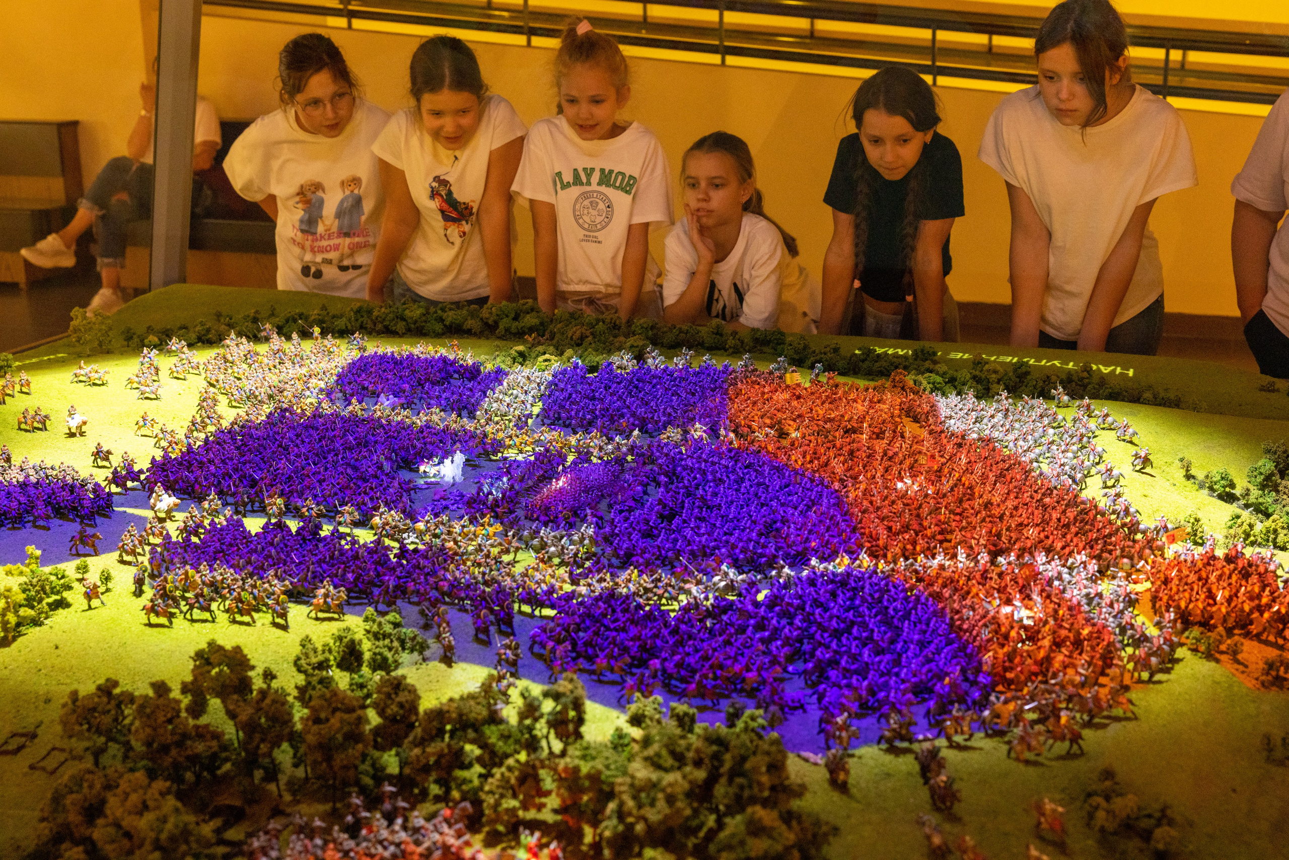 Поездка на поле Кулеково. Фотограф в Туле Крупский АнДРей. Фотостудия «КАДР71» в Туле