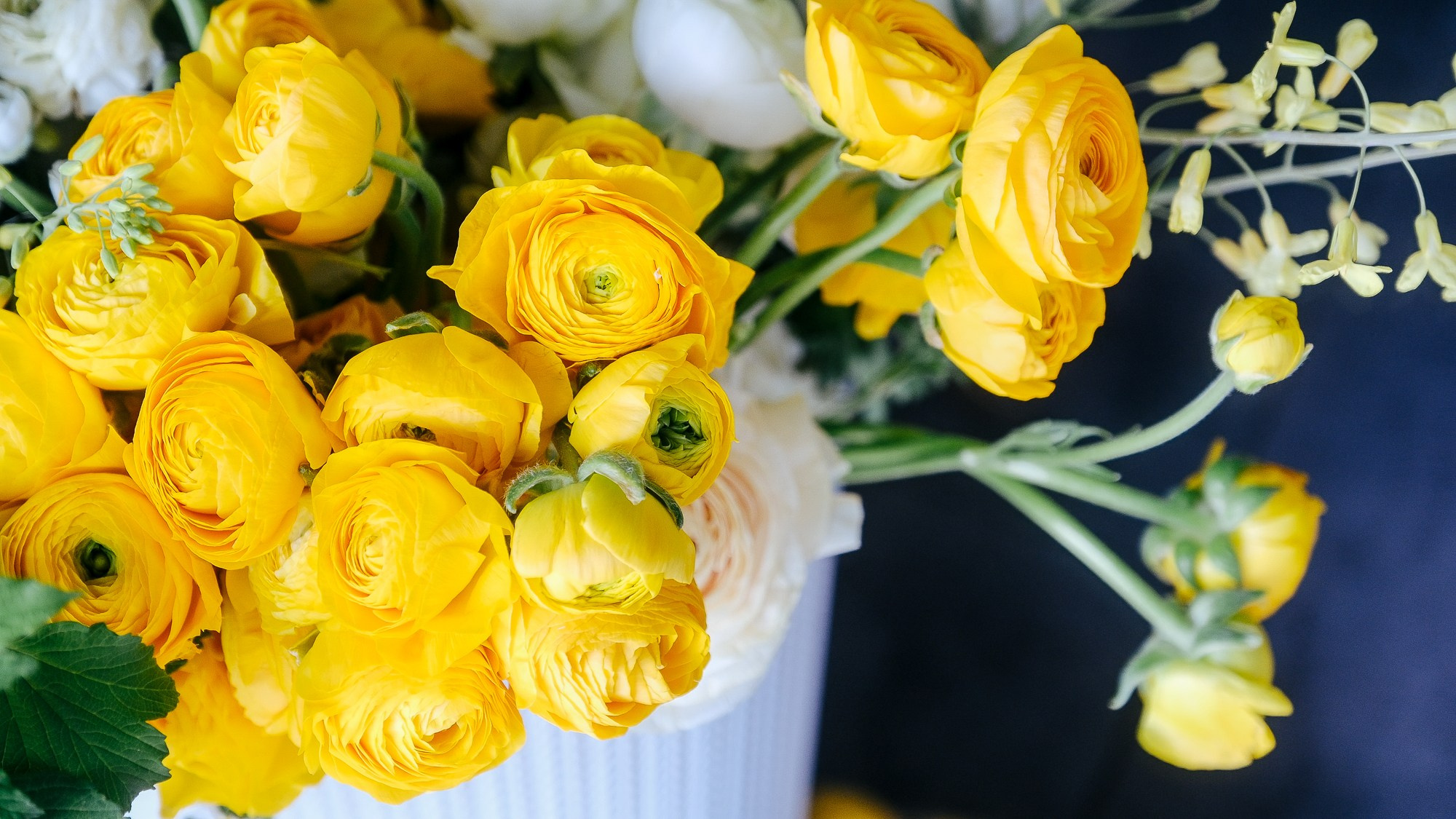 Итальяно. Свадебный Видеограф Фотограф в Сочи