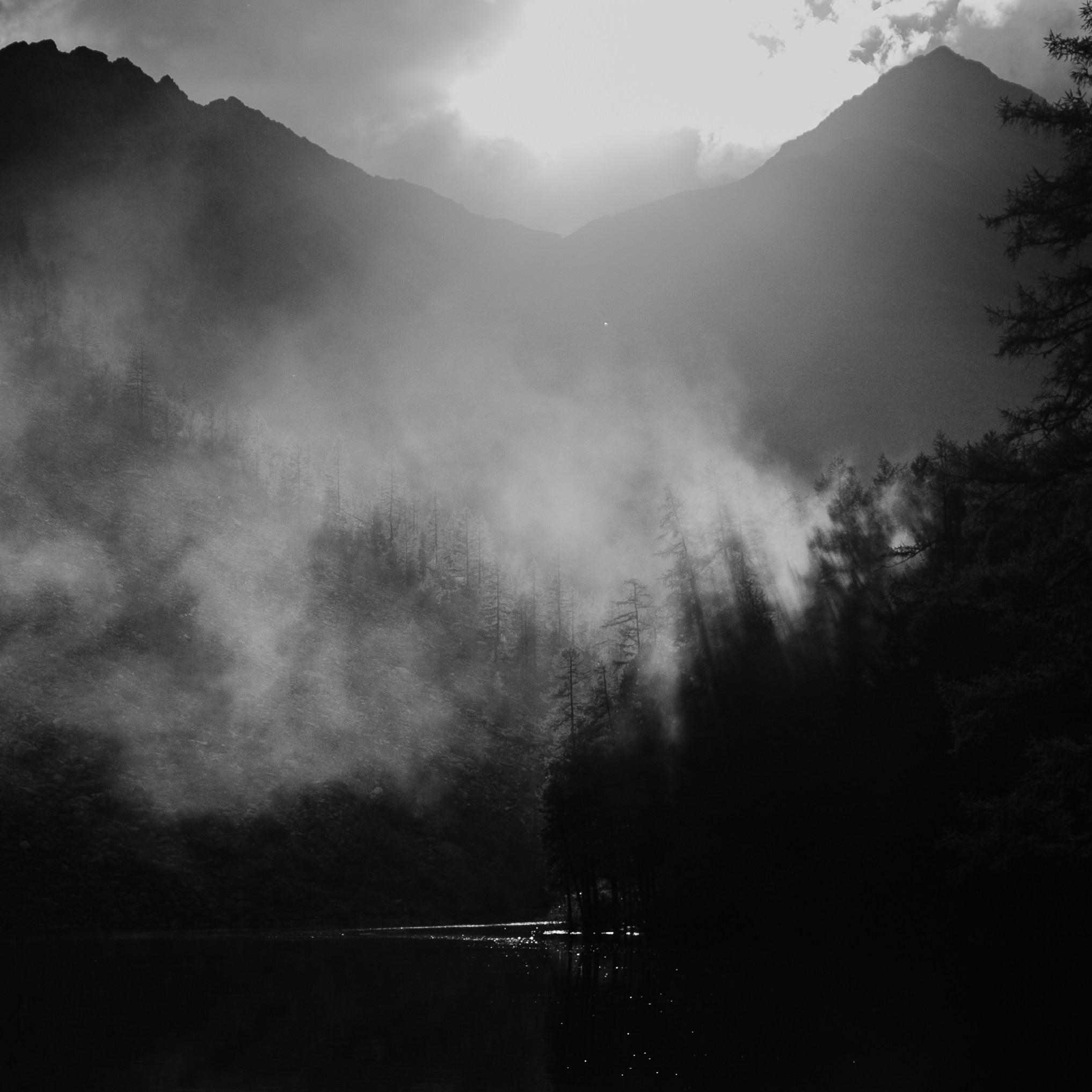 Шавлинские. Главная