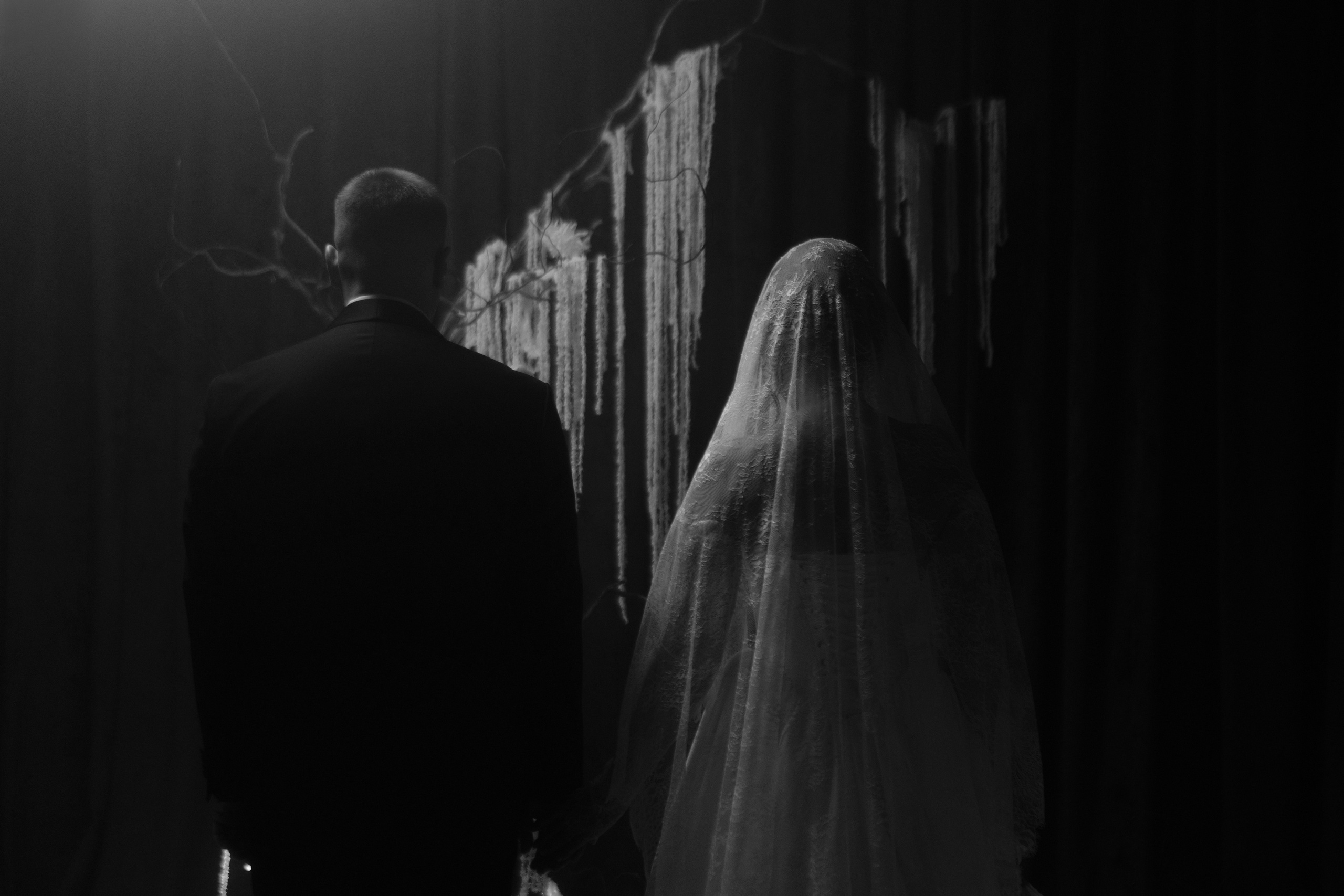 Александр и Елена. Свадебный фотограф в Барнауле Четошникова Анна