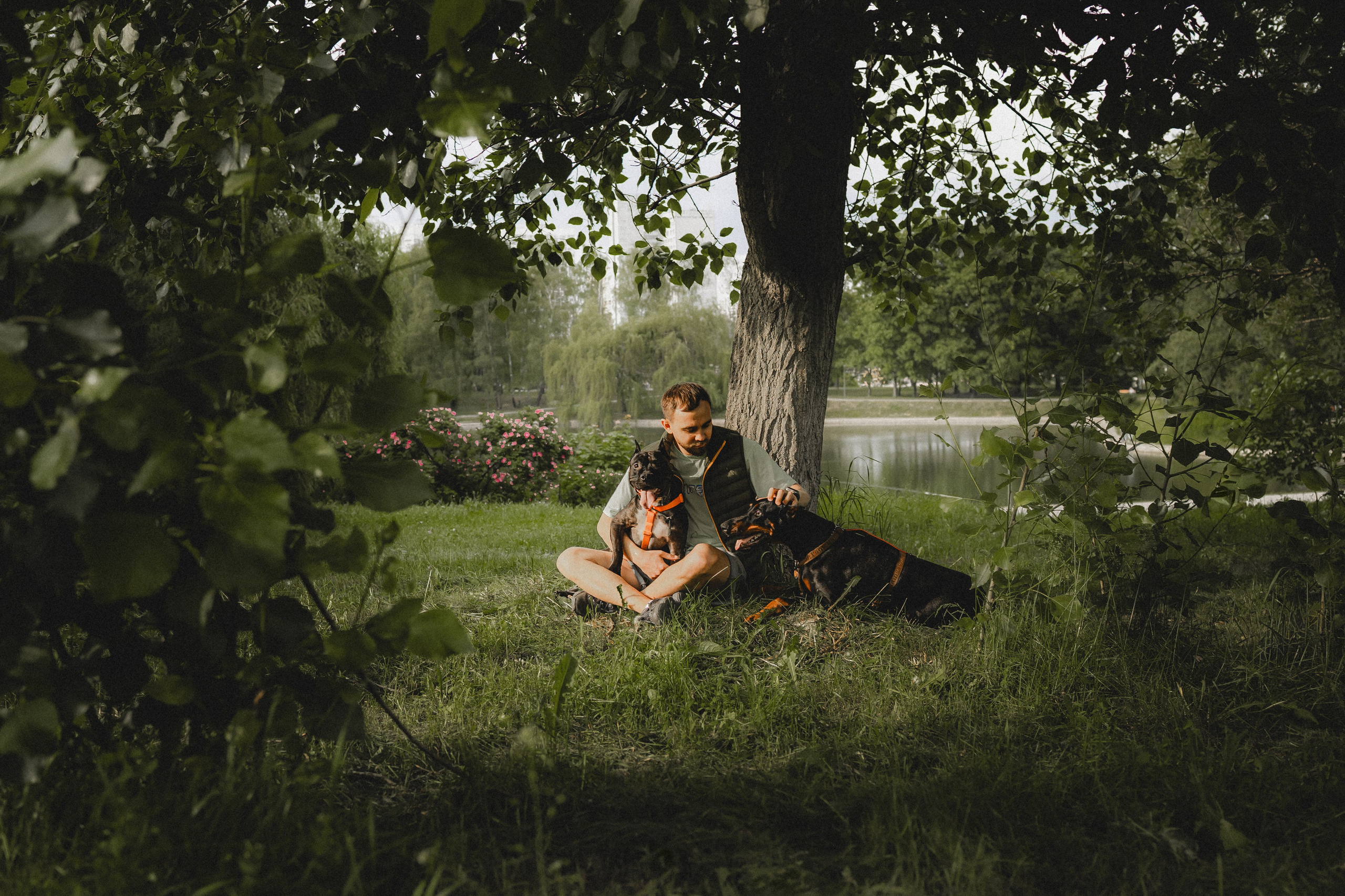 Паша, Хайди и Тея