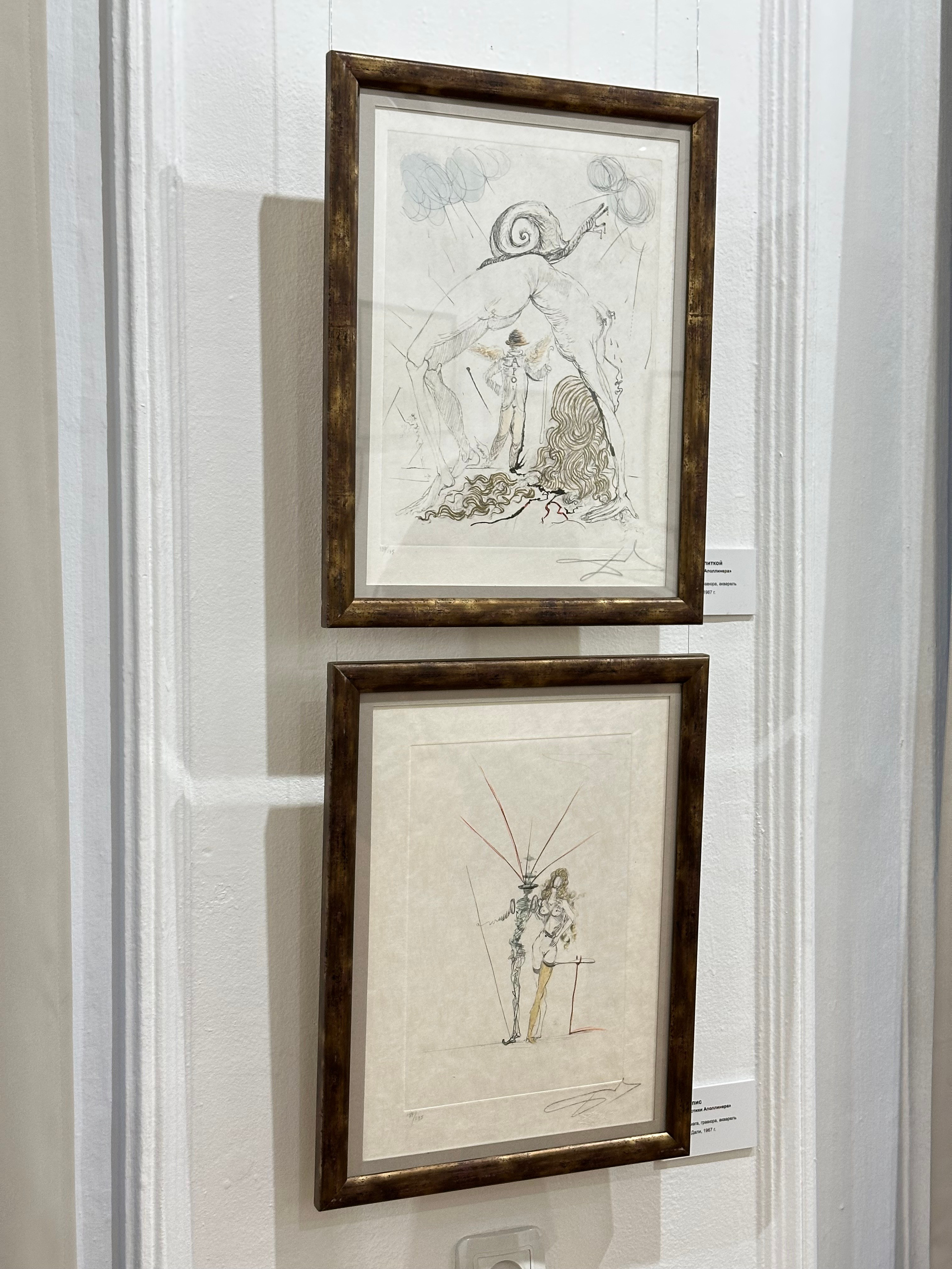 Выставка Дали & Пикассо. Фотосессии и репортаж — Фотограф в Москве — Рина Серёгина