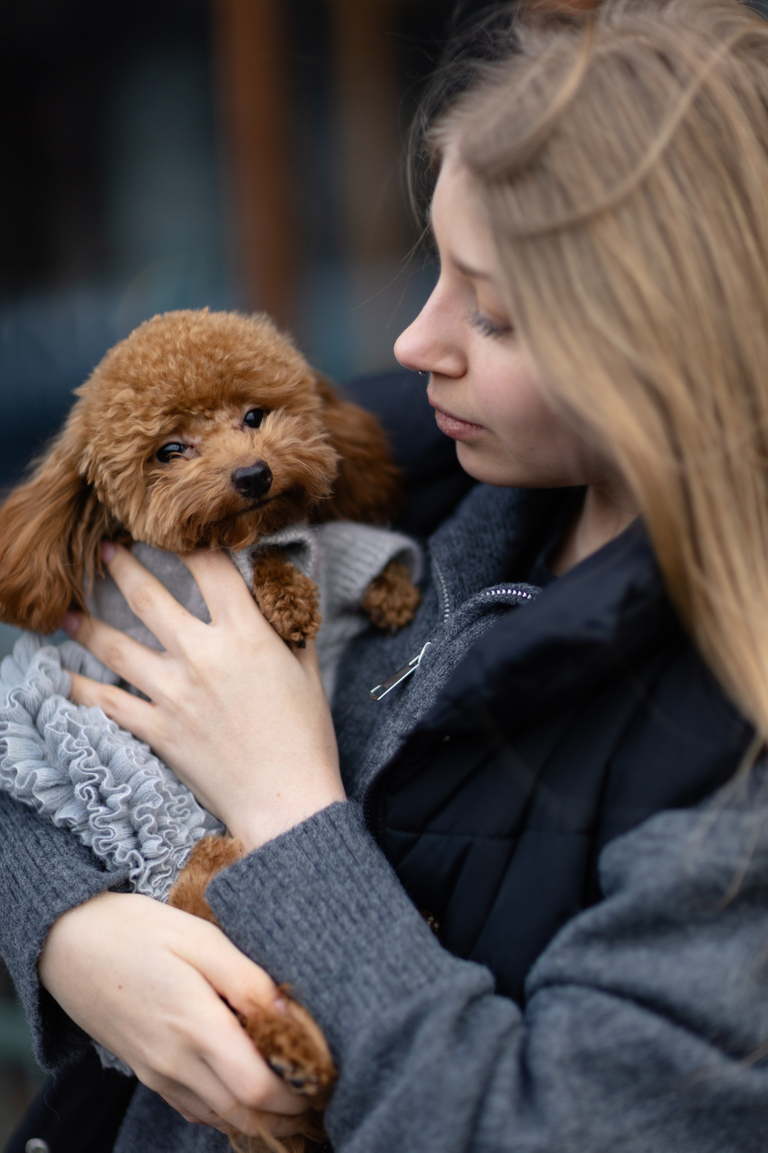 Городские. @dariazphotodays