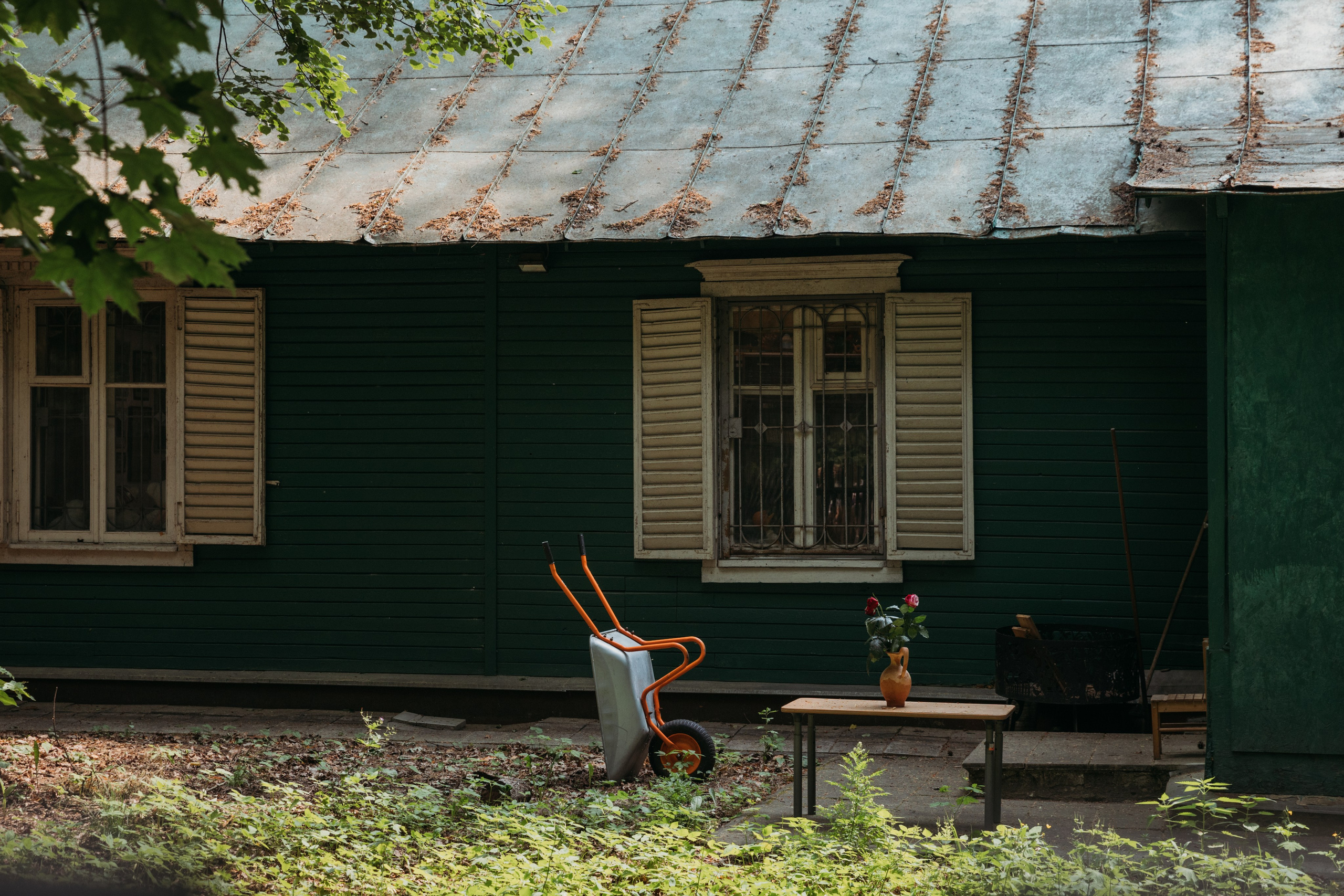 Родные люди «Переделкино». Леся Гаранина. Семейный фотограф/видеограф Москва и область