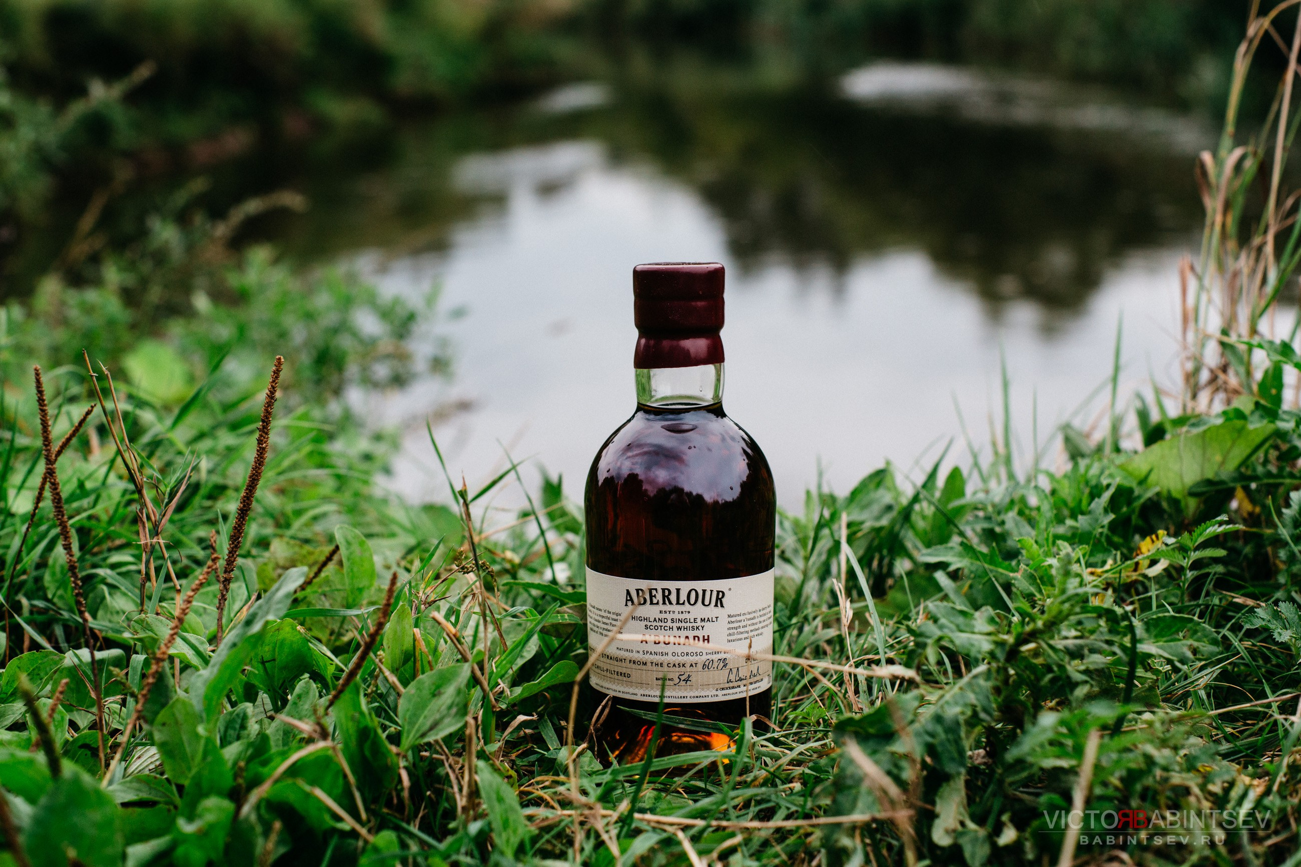 Whisky. Семейный и репортажной фотограф в Красноярске и Москве Виктор Бабинцев