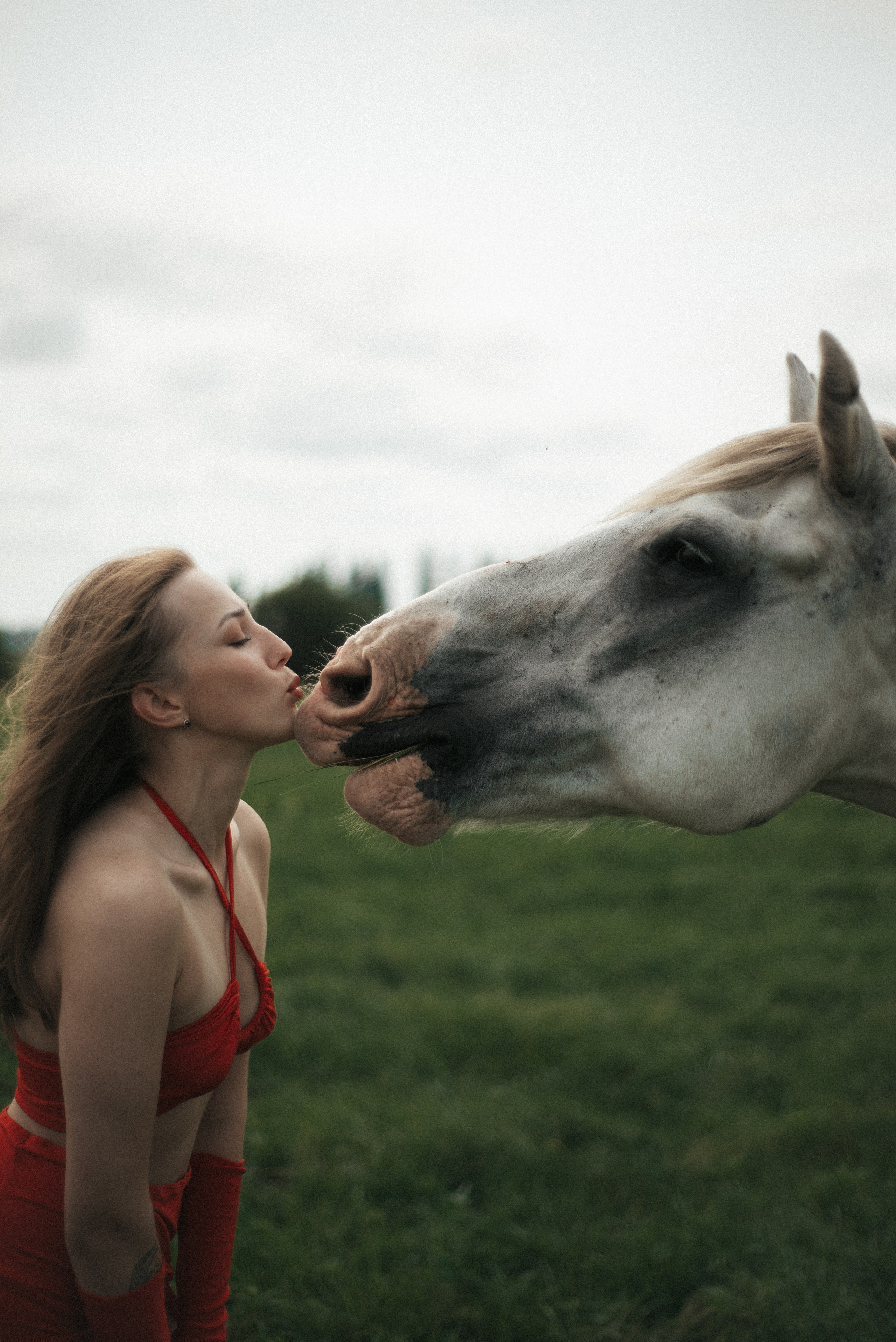 Horse. Фотограф