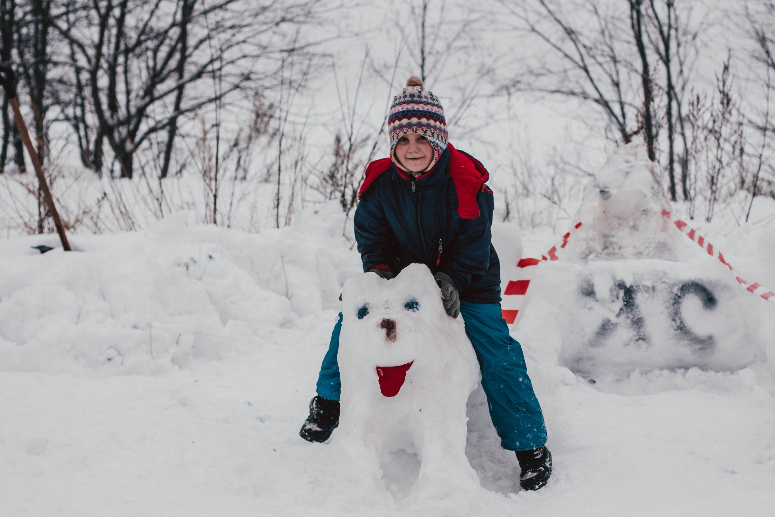 Гонки на ездовых собаках в Токсово. Репортажный фотограф во Всеволожске и Санкт-Петербурге Владимир Капустин