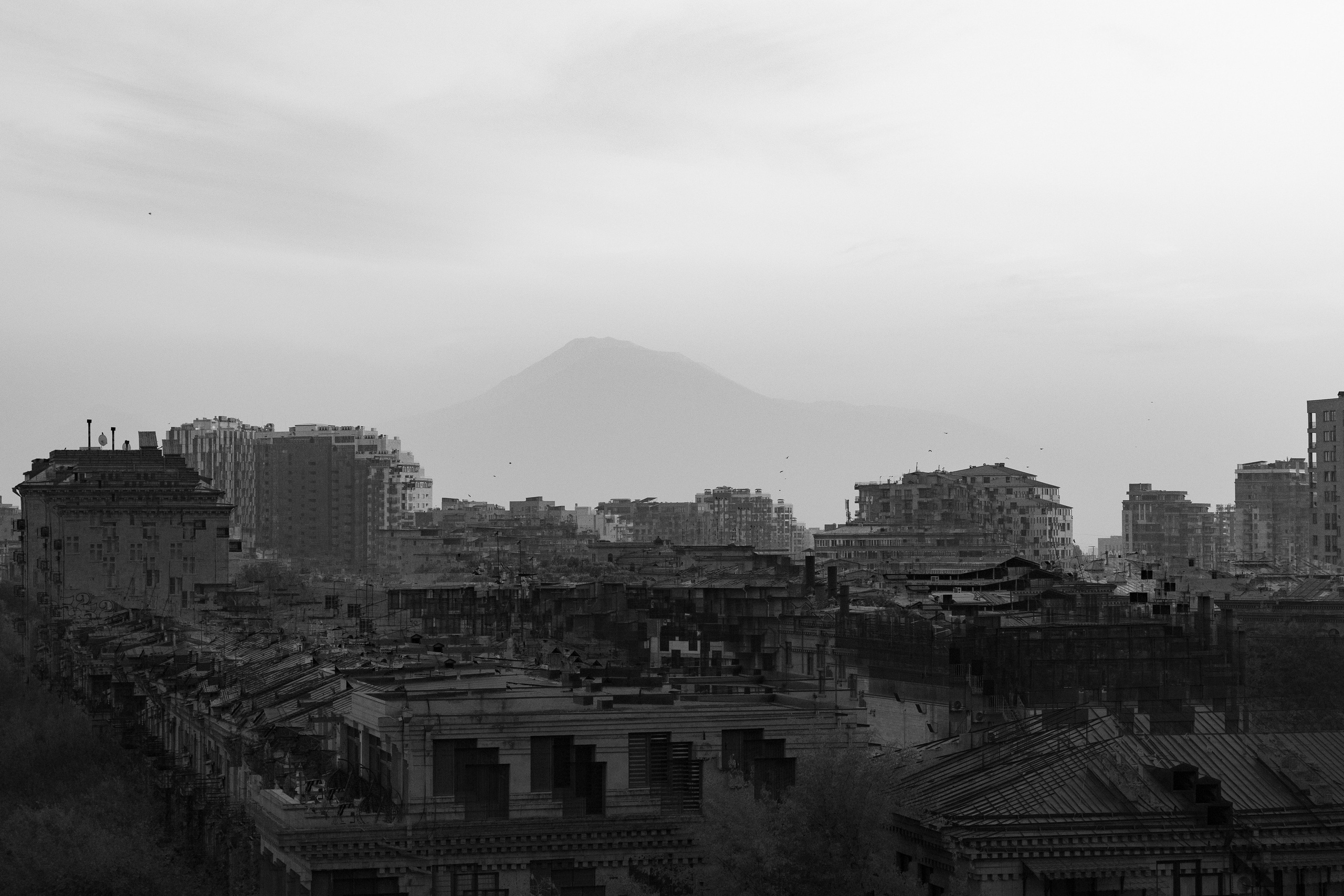 Art prints. Фотограф алина стерхова, алина стерхова фотограф, фотограф москва