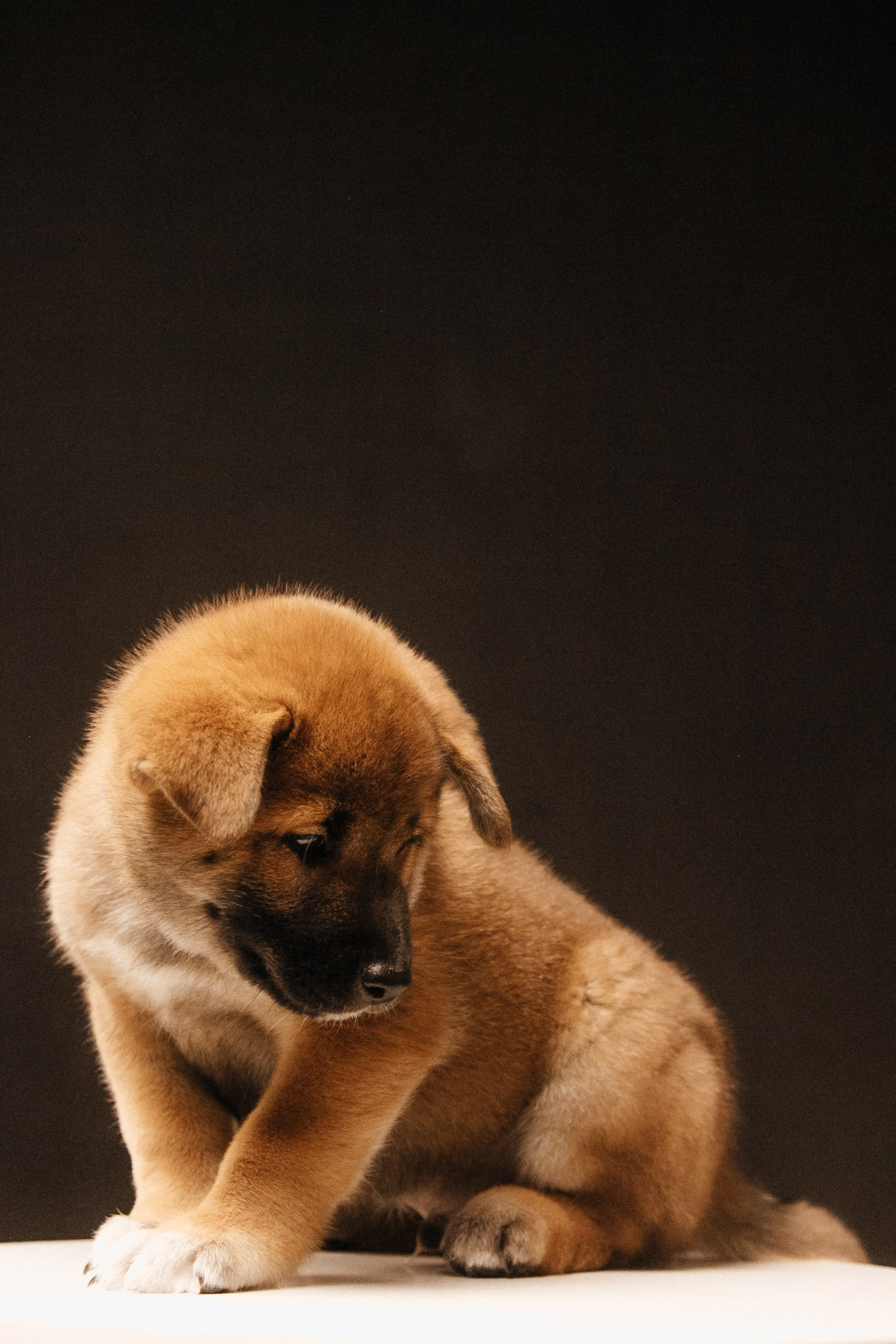 LOVE. Семейный фотограф Казань Никита Федин
