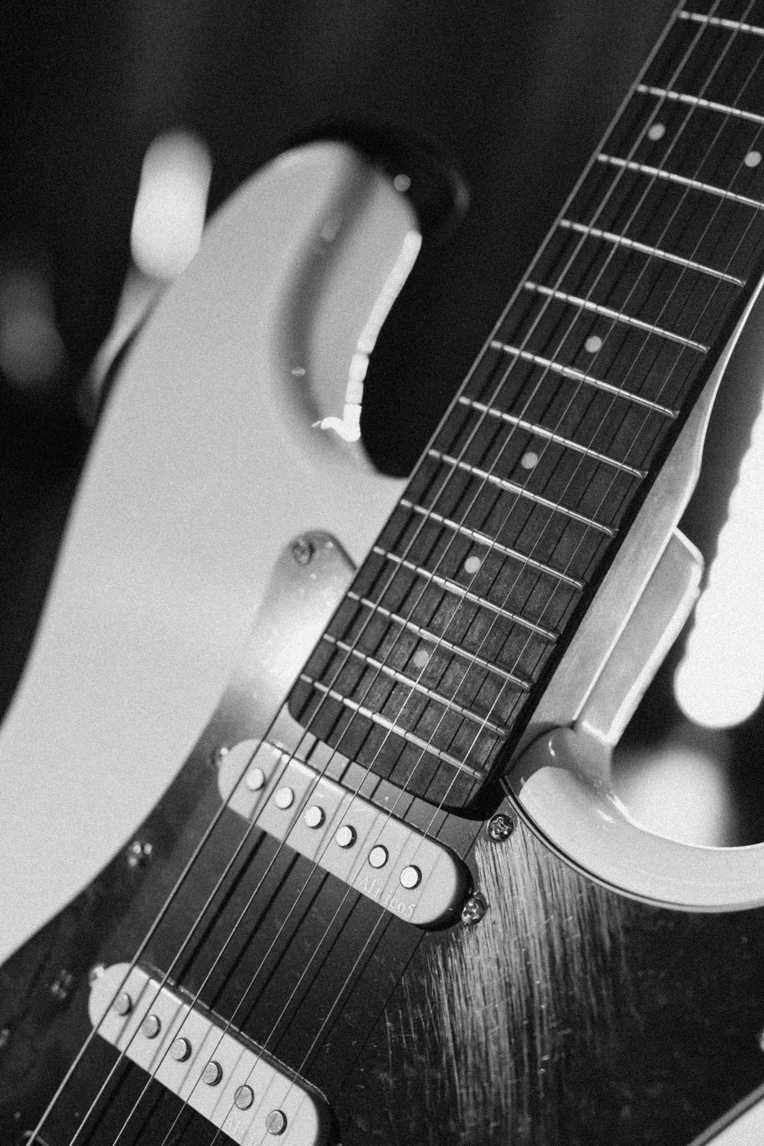 Котики. Свадебный фотограф Наташа Алешина