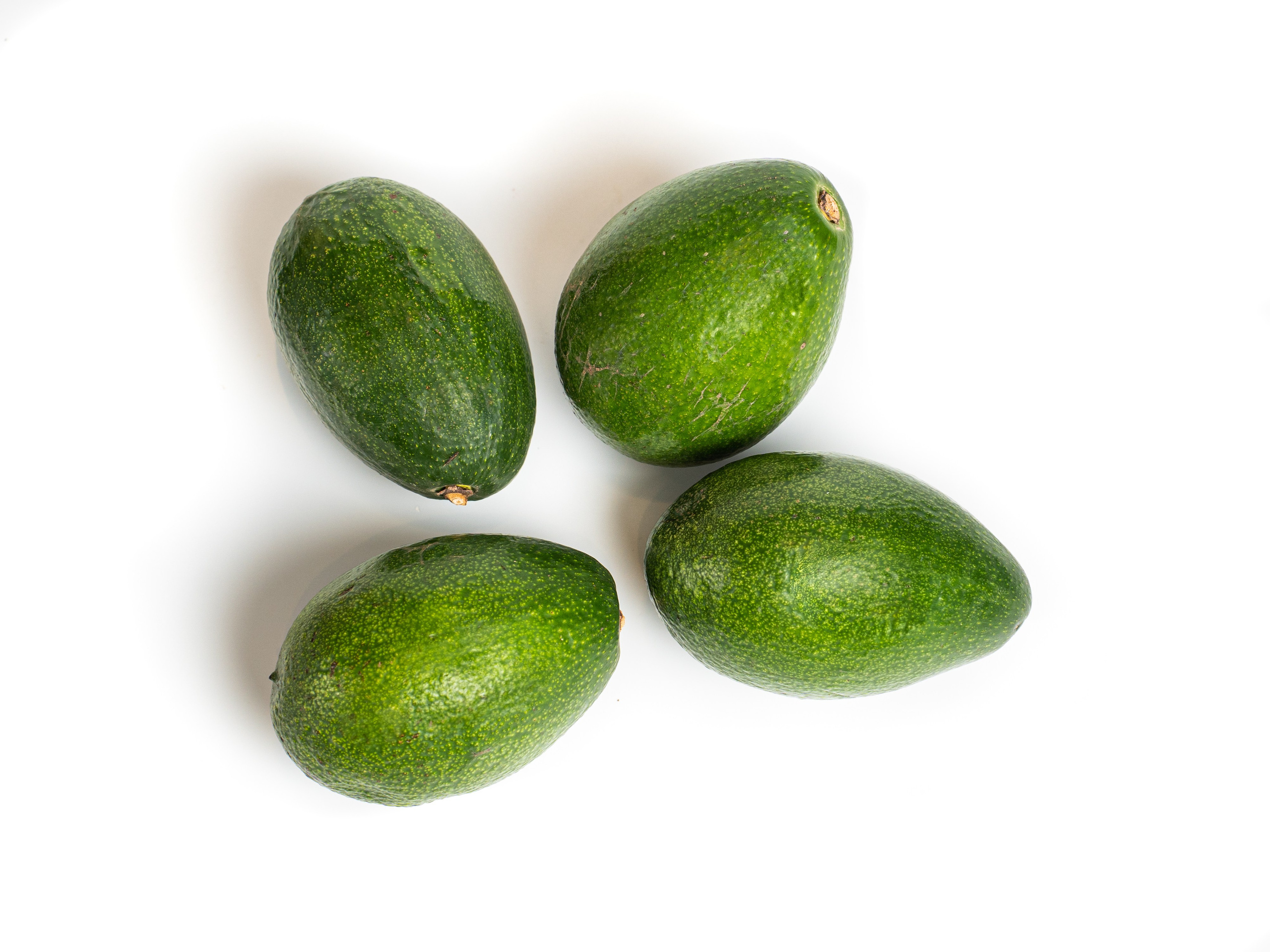 Яндекс Маркет. Предметный и фуд-фотограф в Москве Анна Царенко