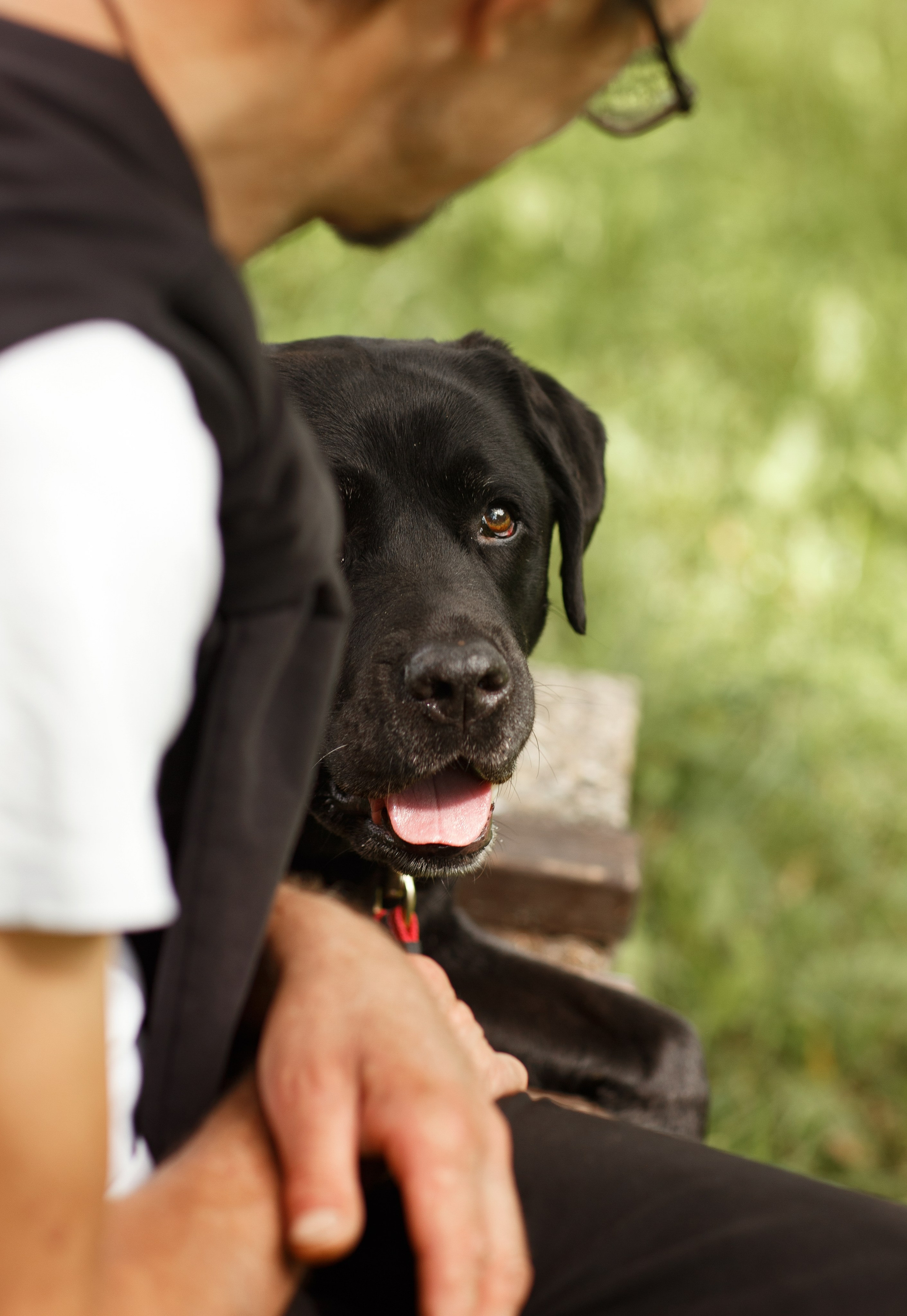 Александр и Мона. Фотограф — Анималист Наталья Тямушева
