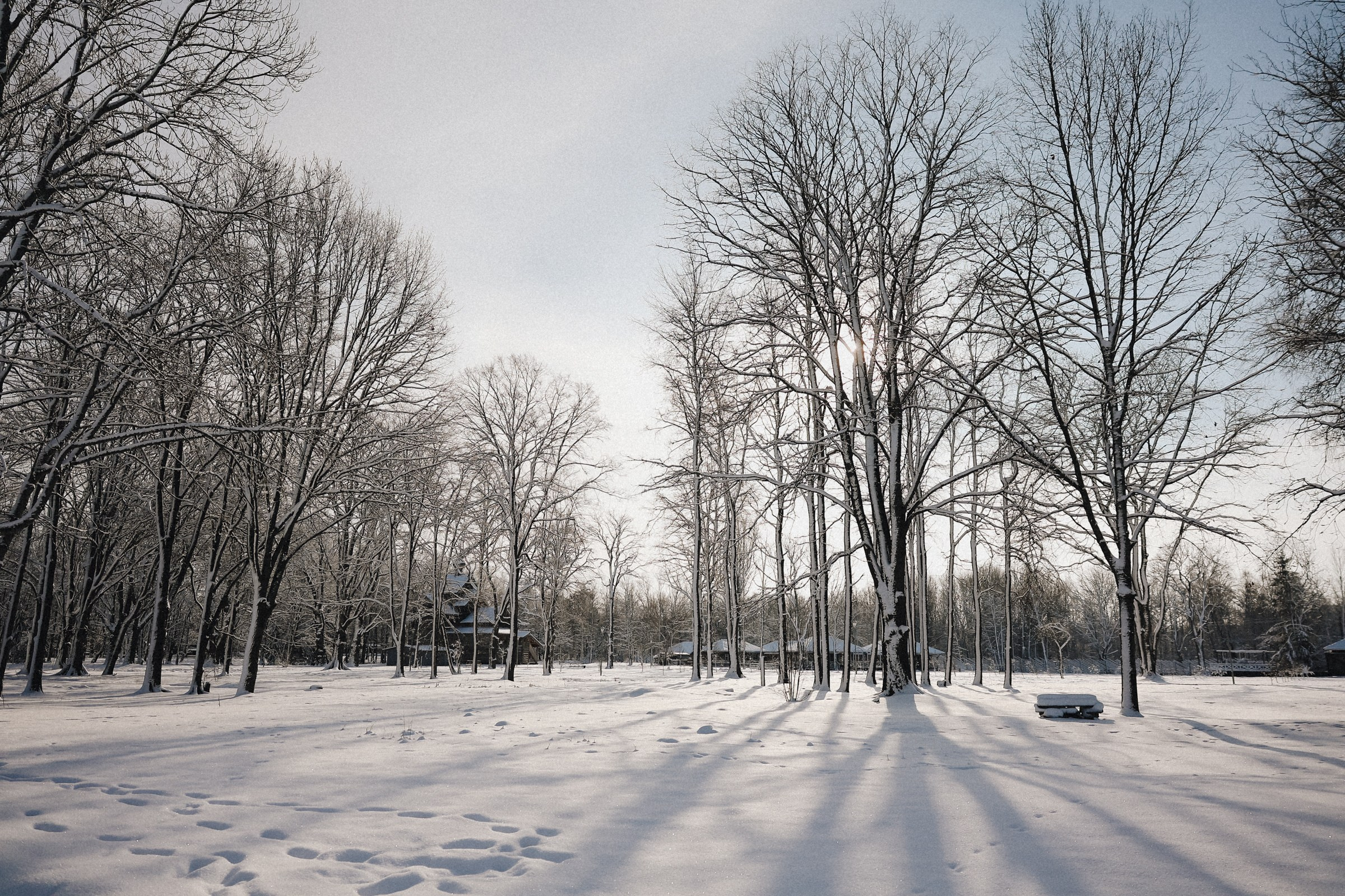 /РЕПОРТАЖ/ NOVGOROD ICE 2025. Свадебный фотограф Великий Новгород Станислав Кособудский