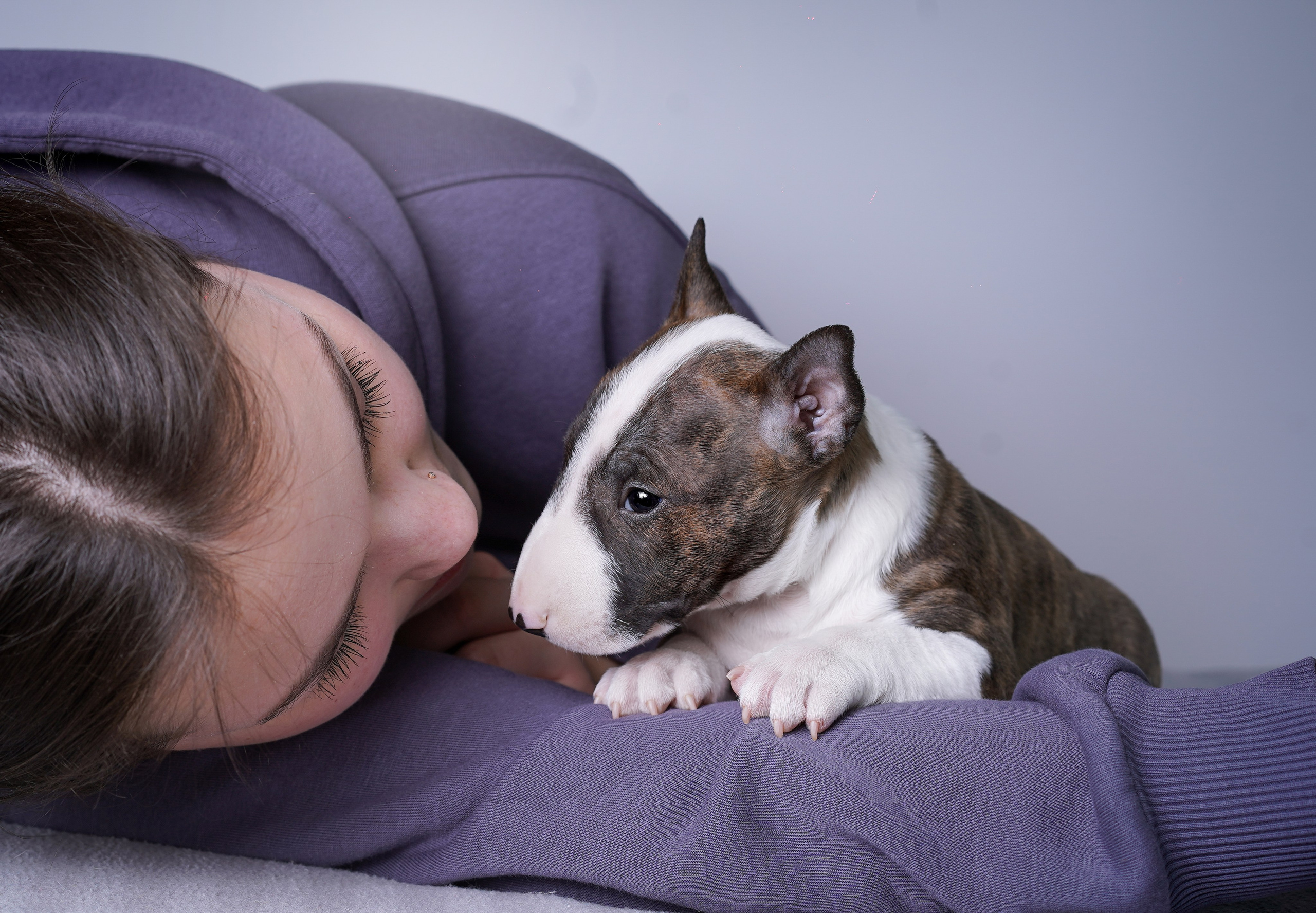 Щенки минибуля. Фотограф-анималист в Санкт-Петербурге Яна Мартынова