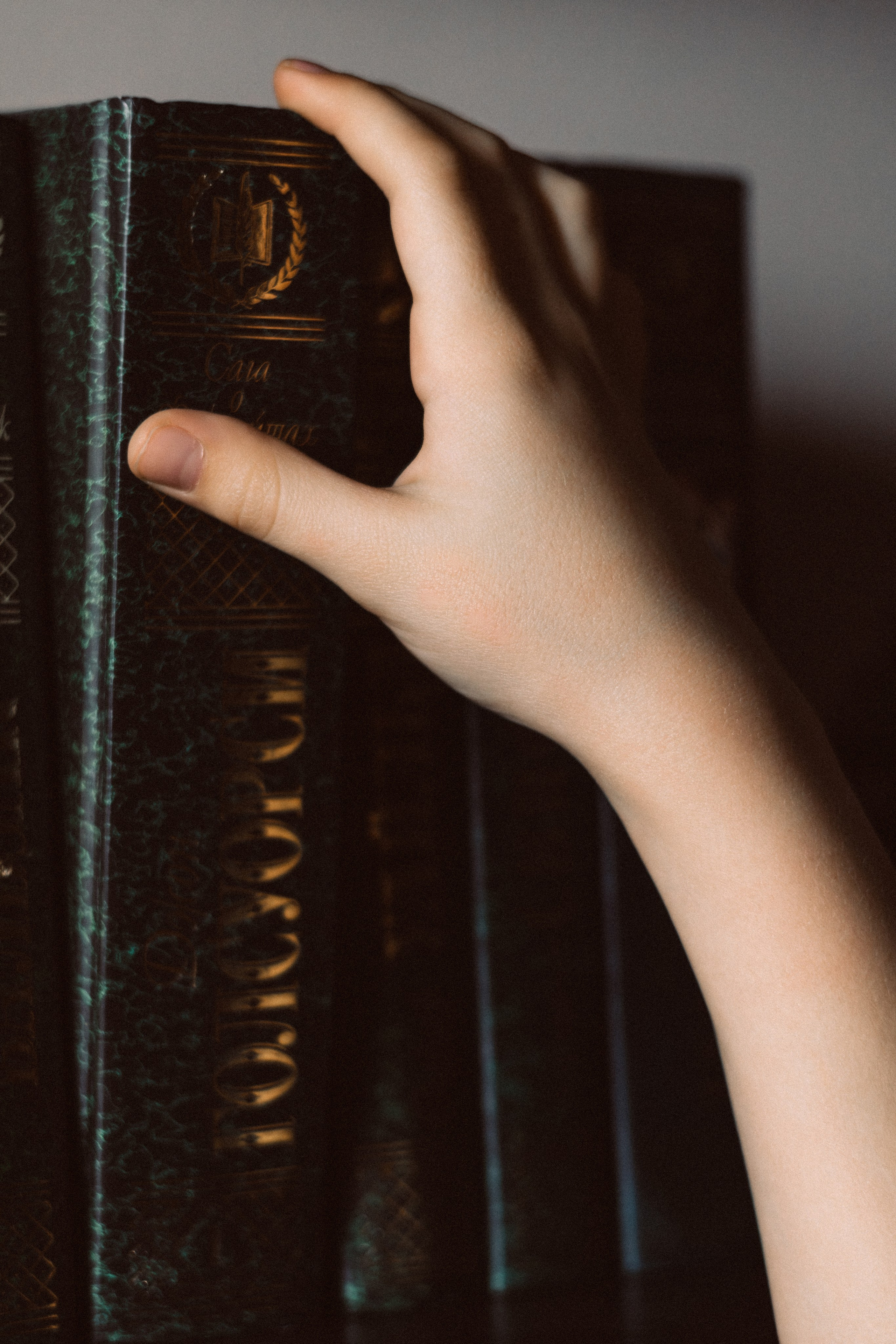 Детский портрет. «Алиса в стране чудес». Портретный фотограф в Южно-Сахалинске Каминская Юлия