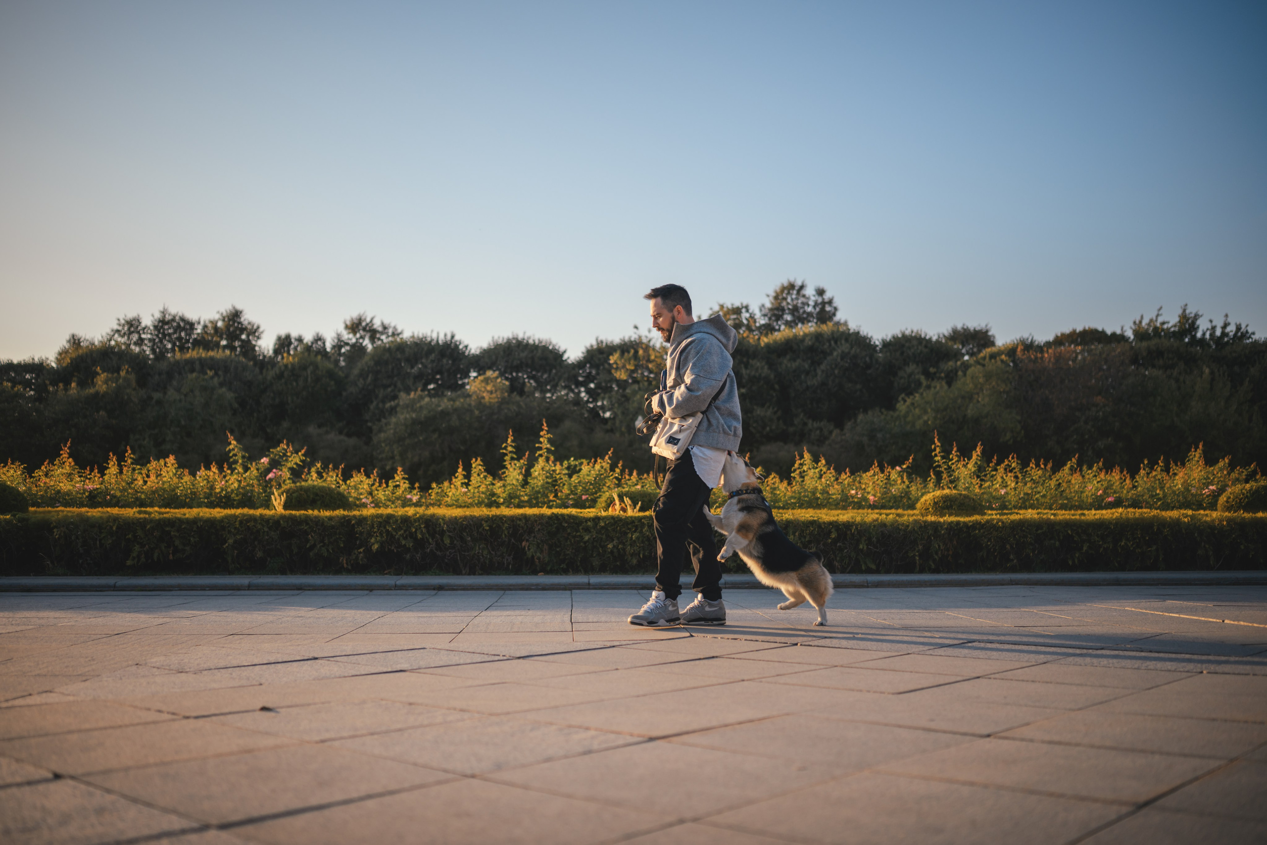 Ева, Леша и Лаванда. Фотограф Анималист в Москве Анастасия Жучкова