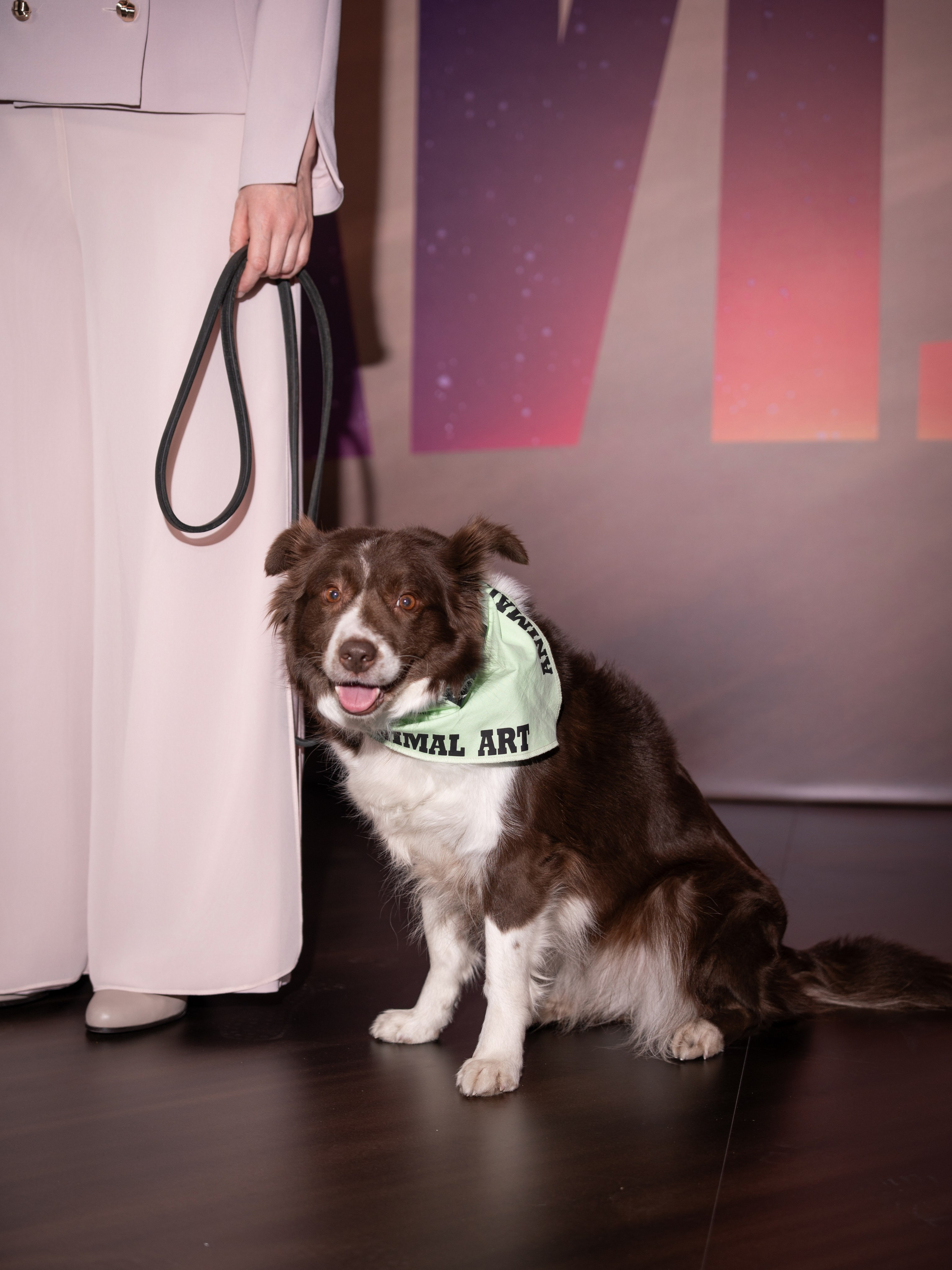 Космическая собака Лида. Премьера Космическая собака Лида. Фильм Космическая собака Лида. Космическая собака Лида смотреть. Каро 11 Октябрь