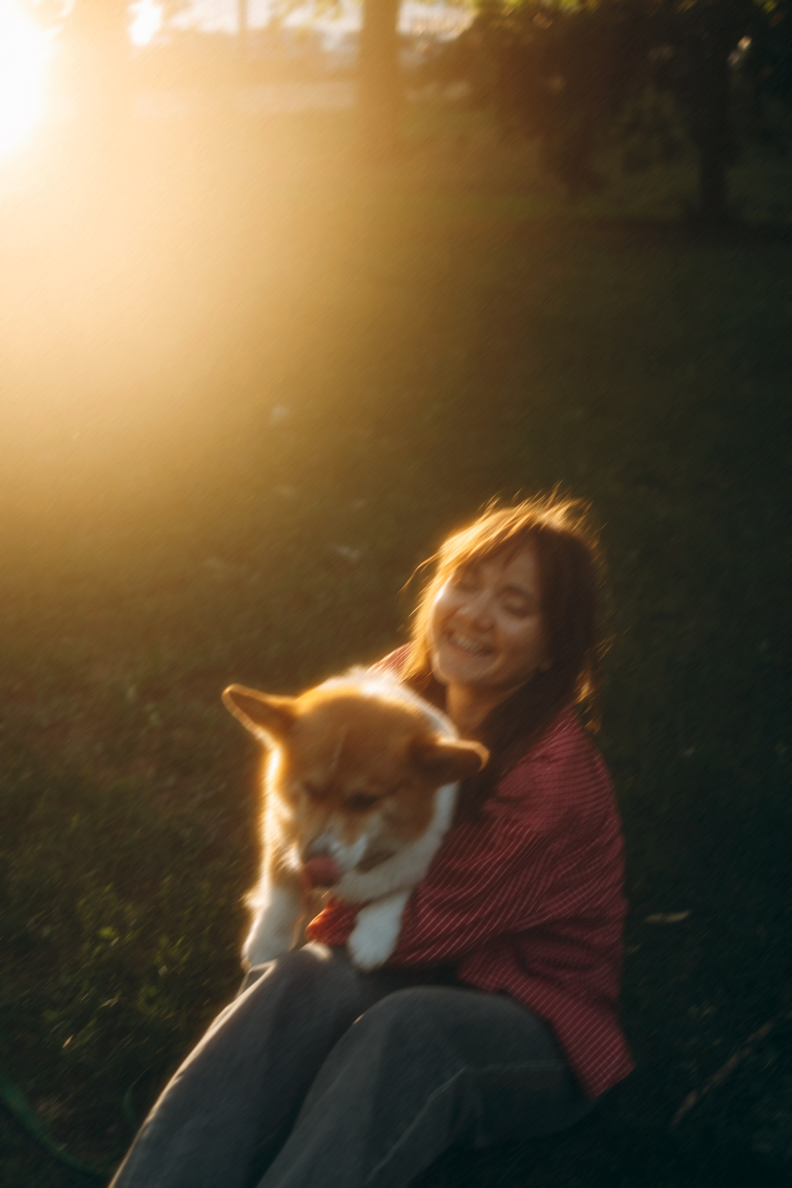 Момо, Люда и Эд. Фотограф анималист Анастасия Пикей