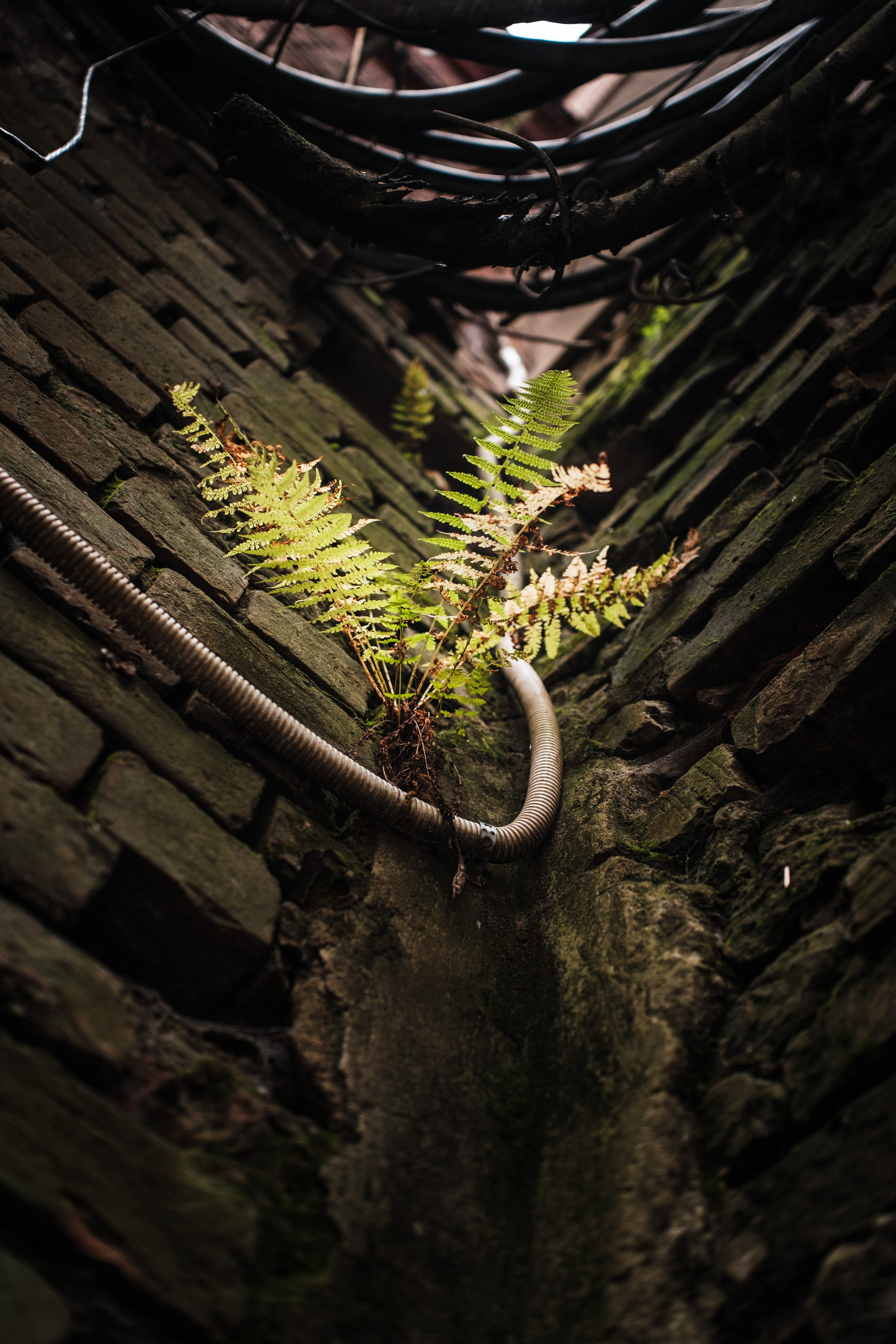 Street. Фотограф в Санкт-Петербурге Шевцов Андрей