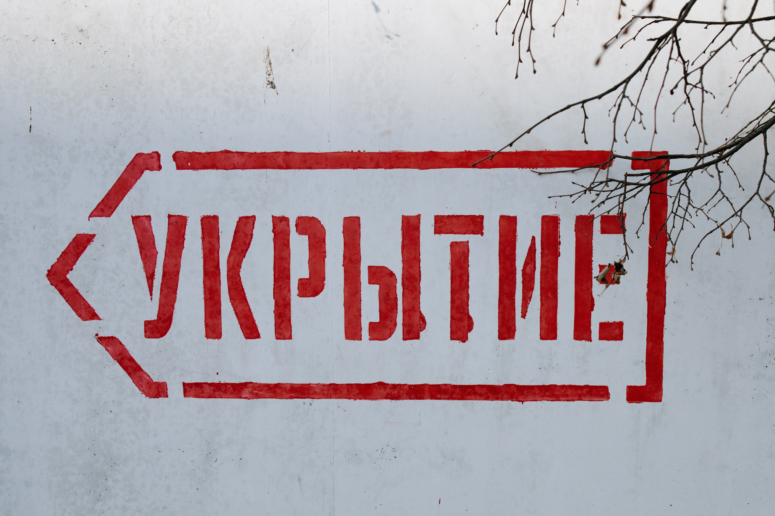 Военная патриотика. АННА ТРУНОВА | ФОТОГРАФ ЗВЁЗД