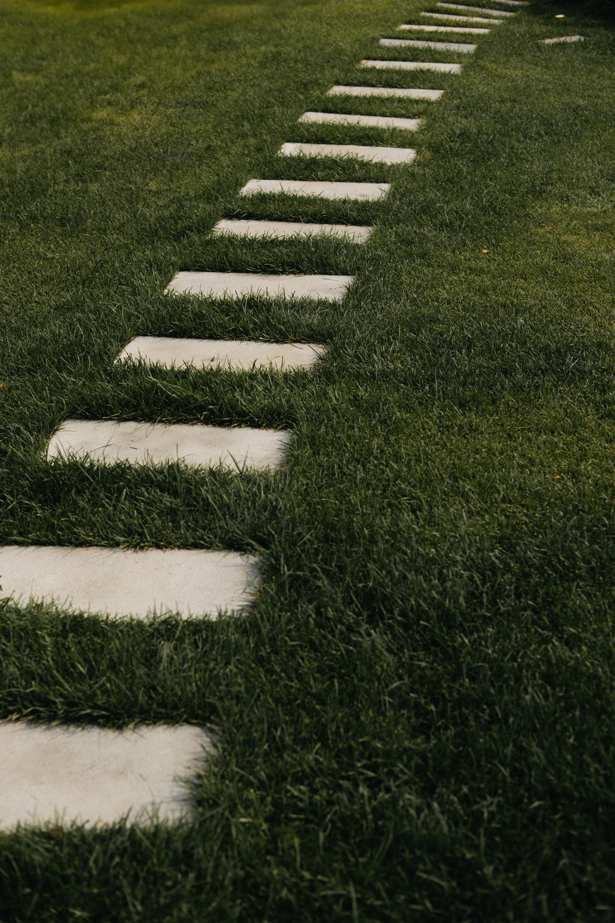 Молодые счастливые. Обо мне