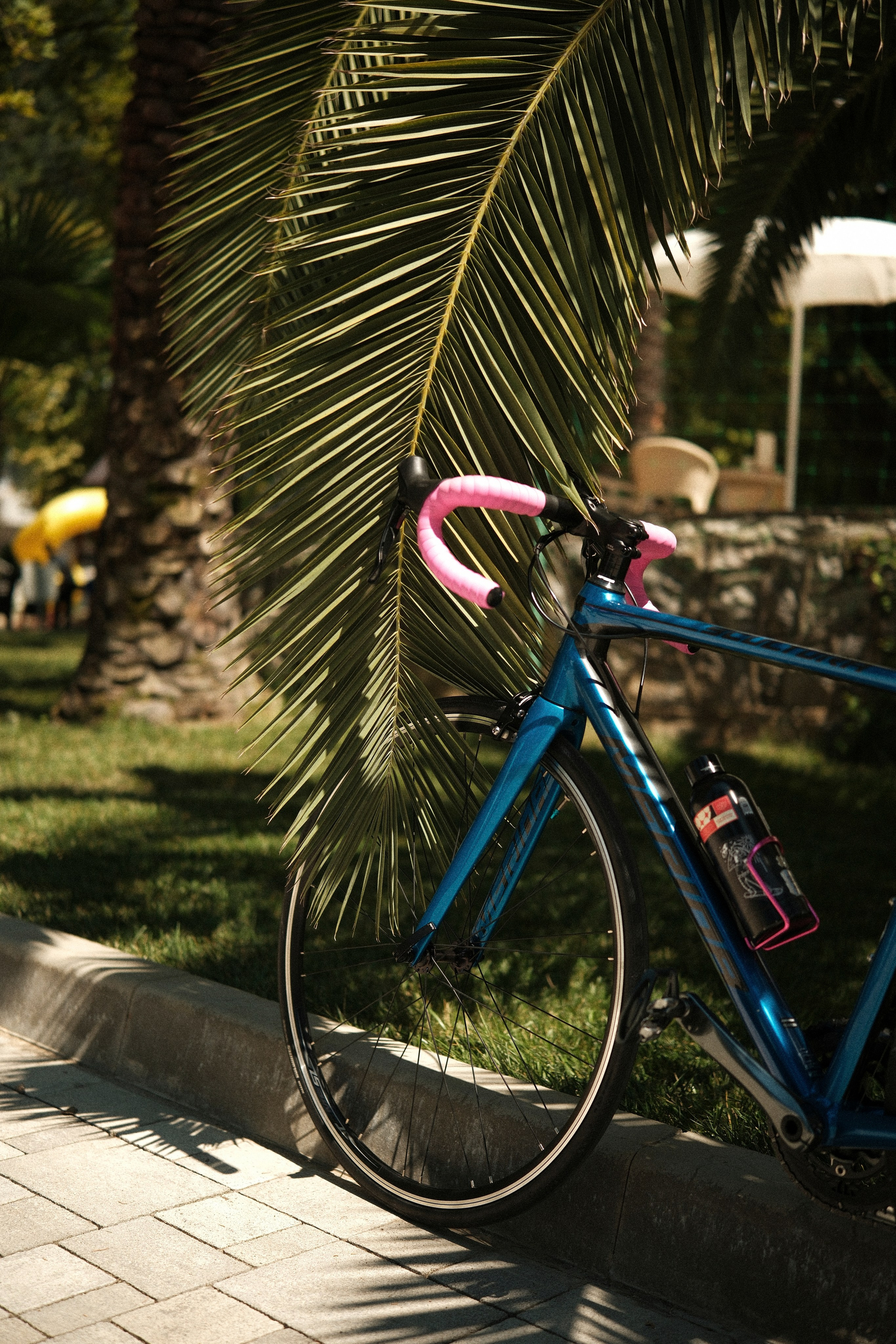 Tour de Abkhazia 2.0. Main