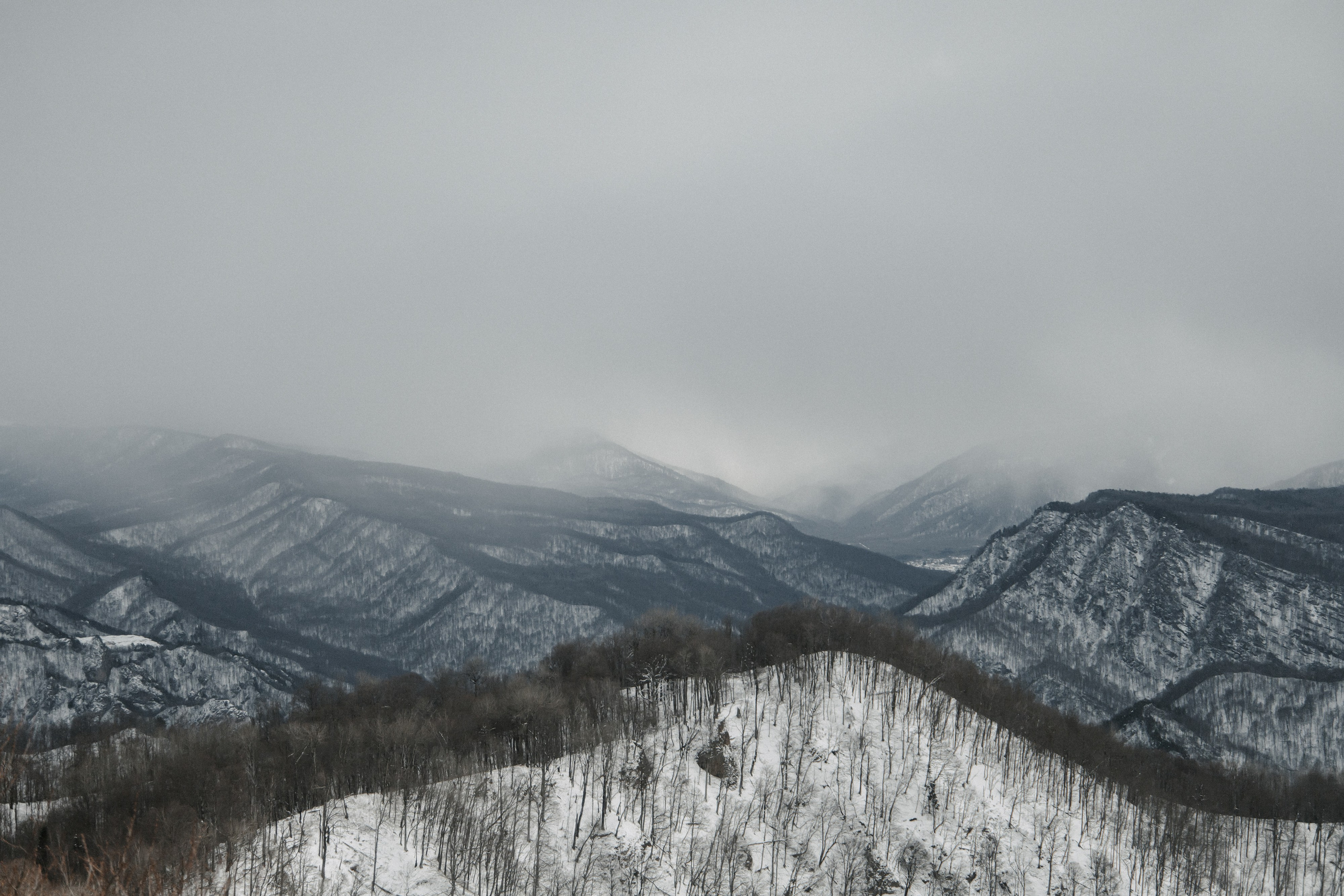 Адыгея. Лаго-Наки 27.01.24. Фотограф katya_vkadre Таганрог