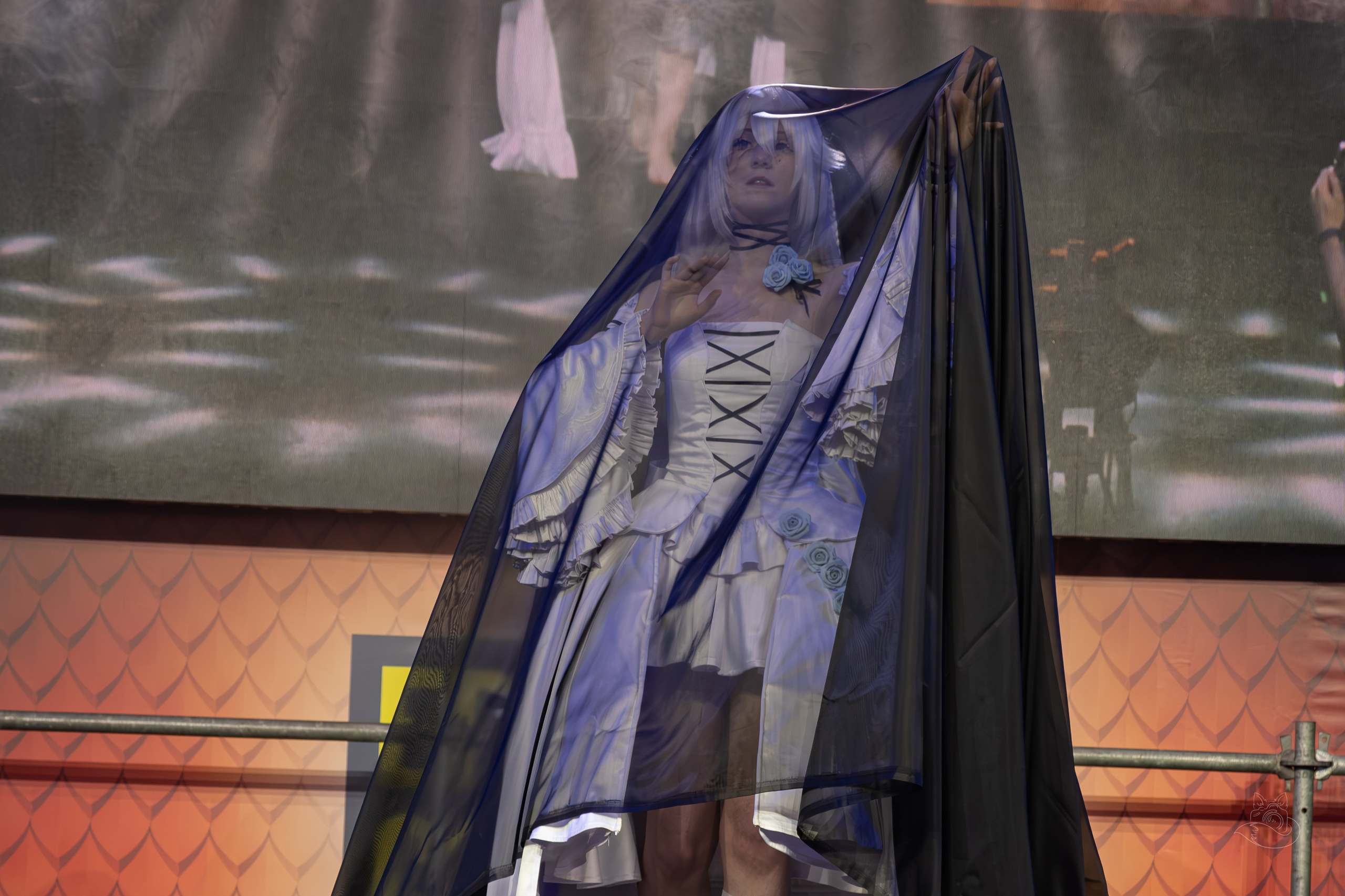 Конкурс Epic Con 2024. Косплей фотограф