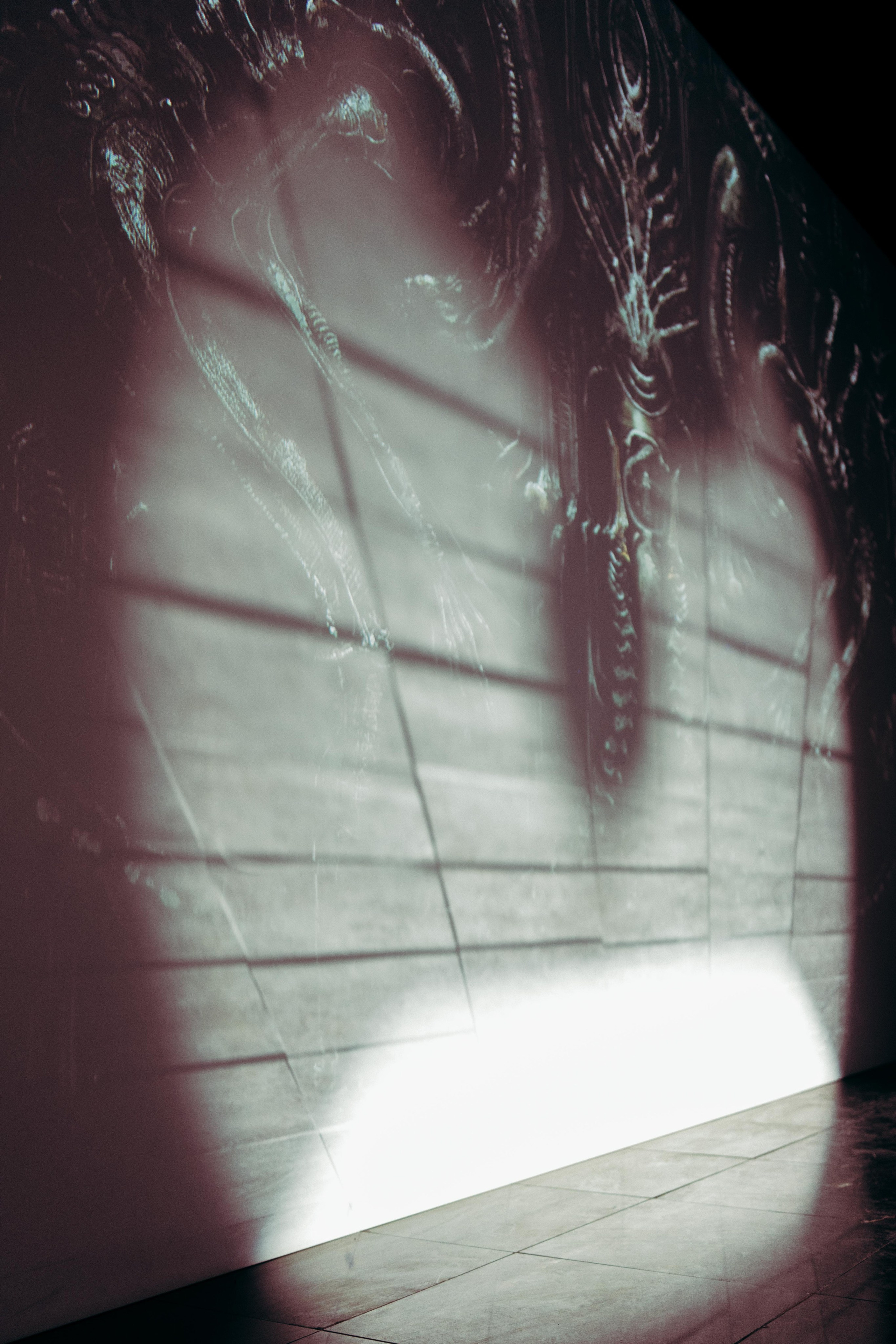 KAMERGER WINTER. Коммерческий Фотограф Виктор Фоменых