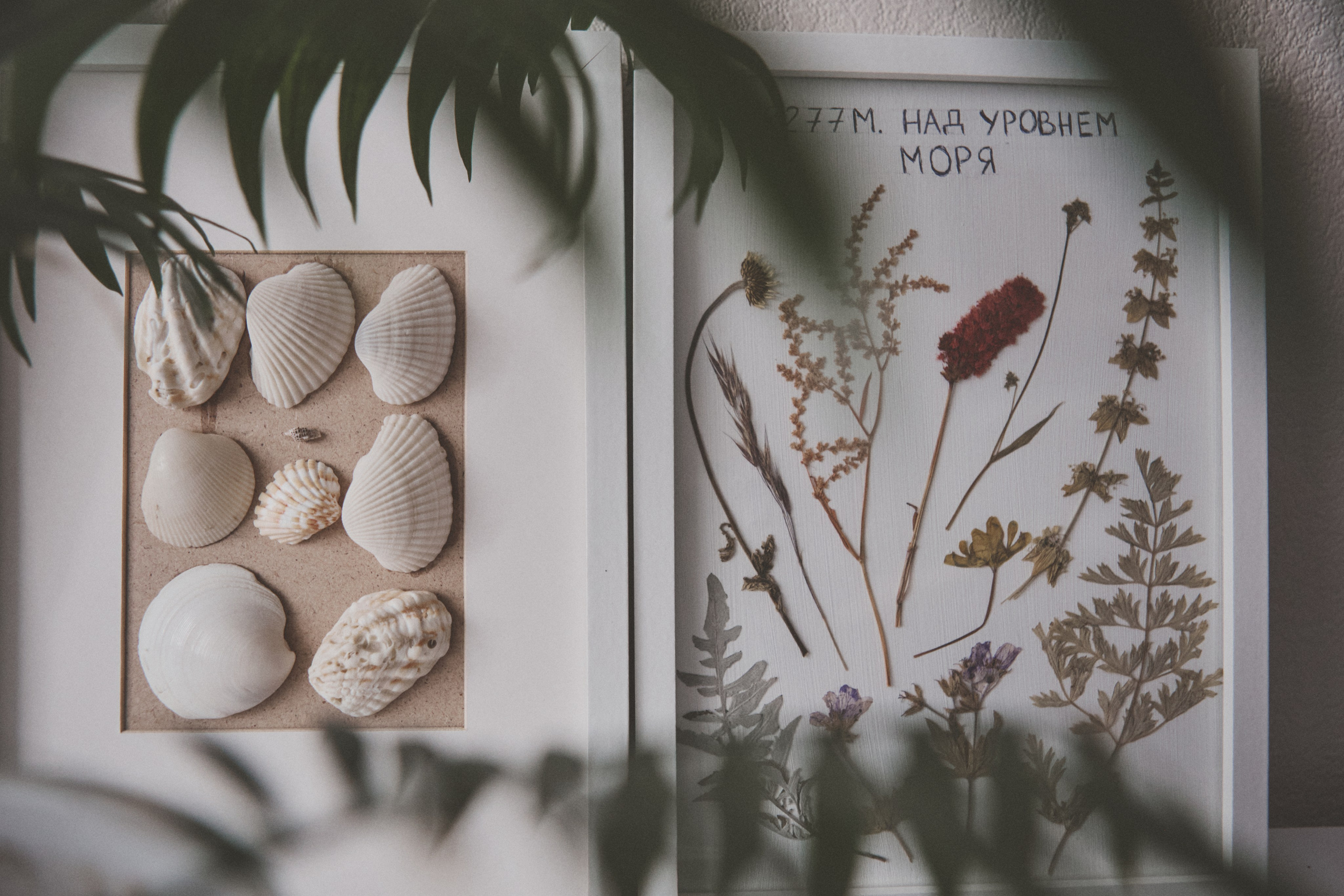 Masha. Portrait, family and pet photographer in Cyprus, Ksenia Bourdelle