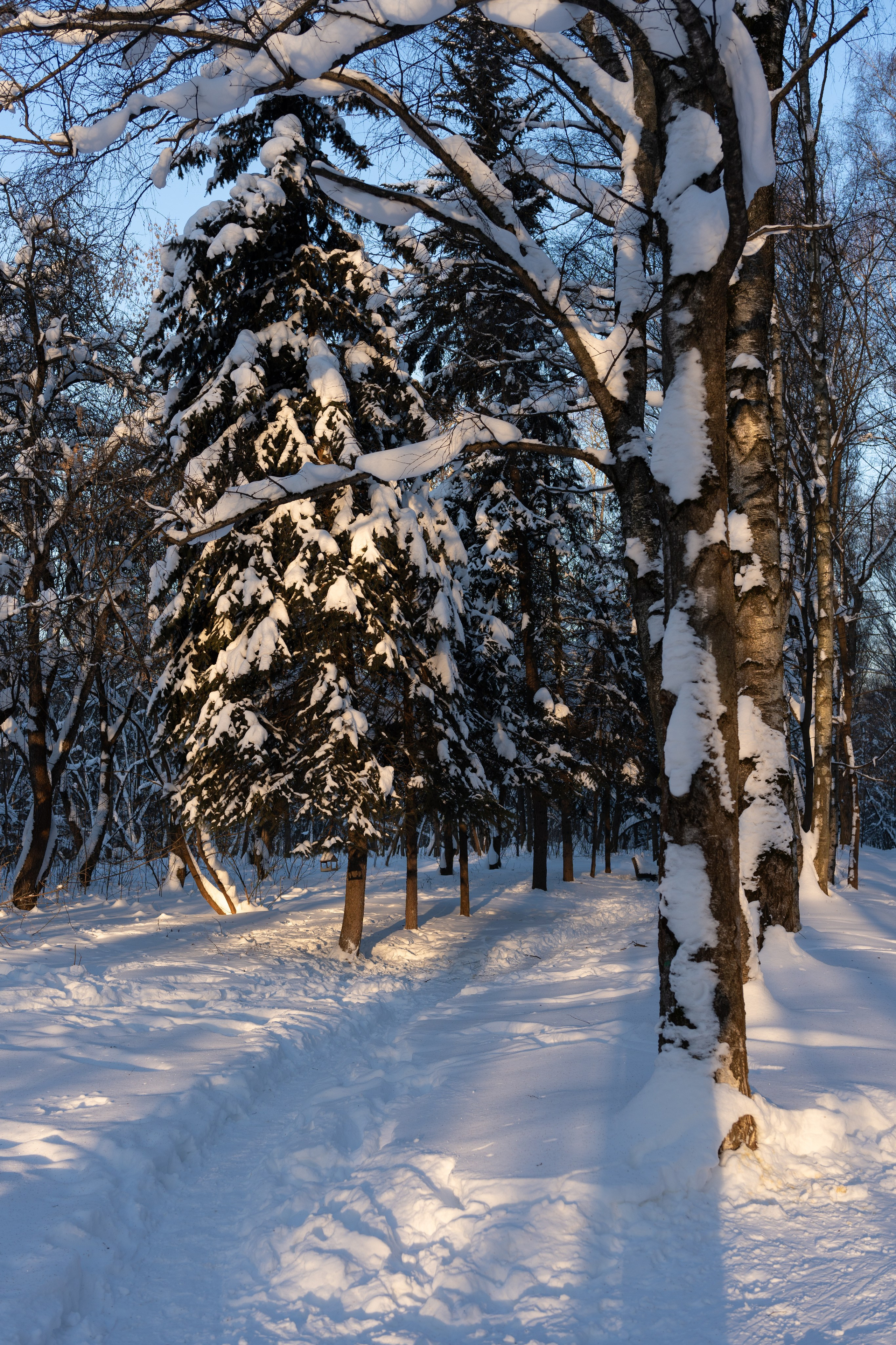 20260118 МГУ. Дмитрий Ремизов. Фотография, как хобби
