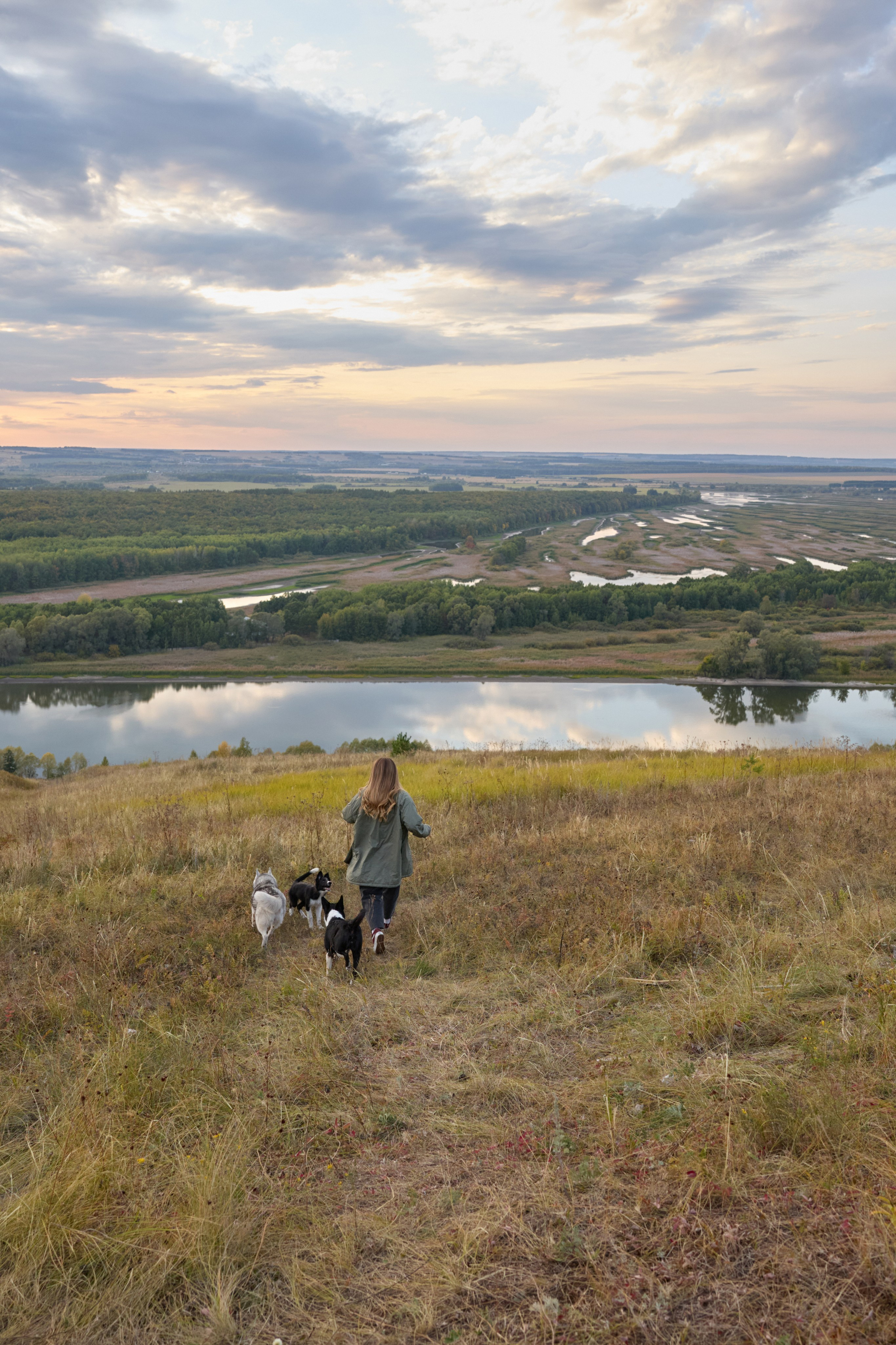 Аделя и ее хвостики. Фотограф анималист в Казани Алина Сулейманова. Фотограф животных