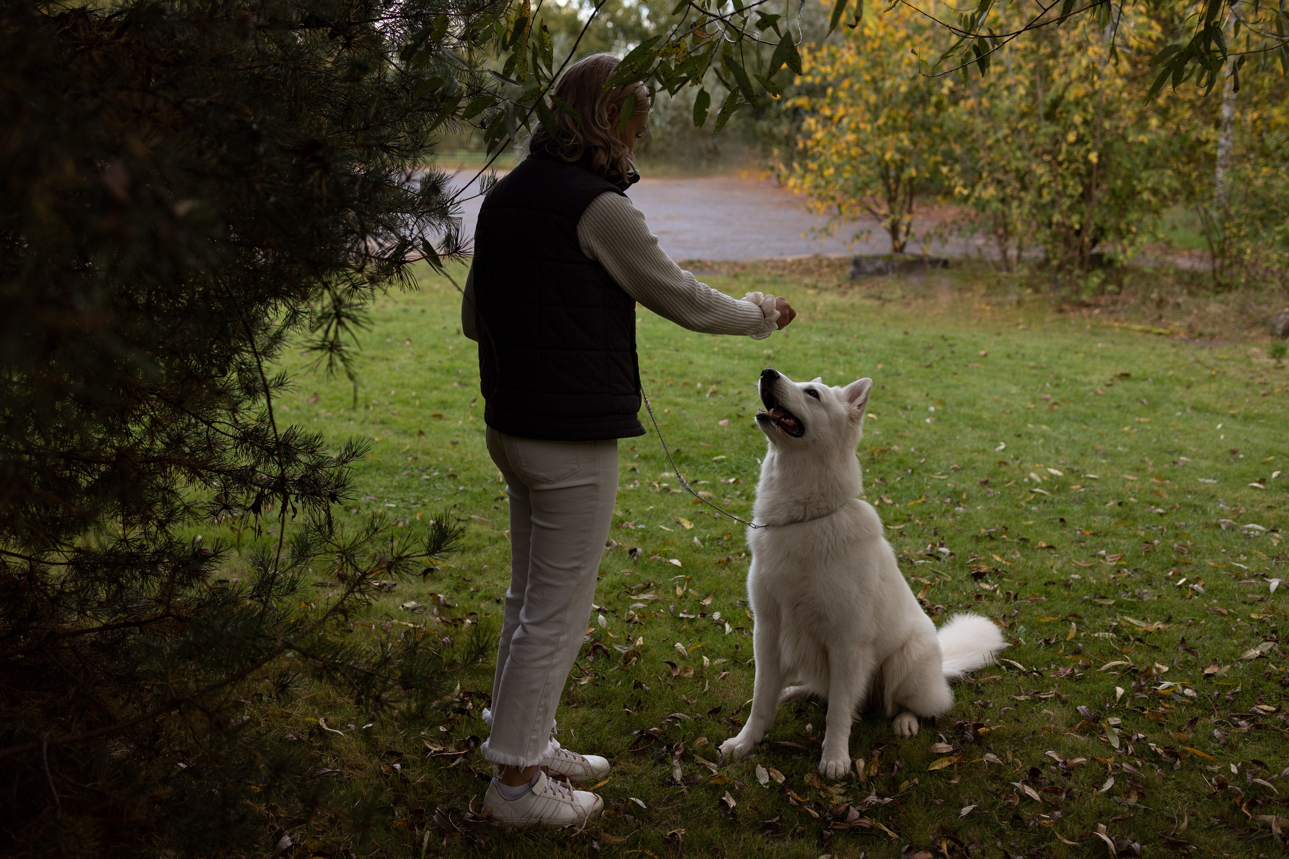 Алина и Райден. Фотограф — Анималист Наталья Тямушева