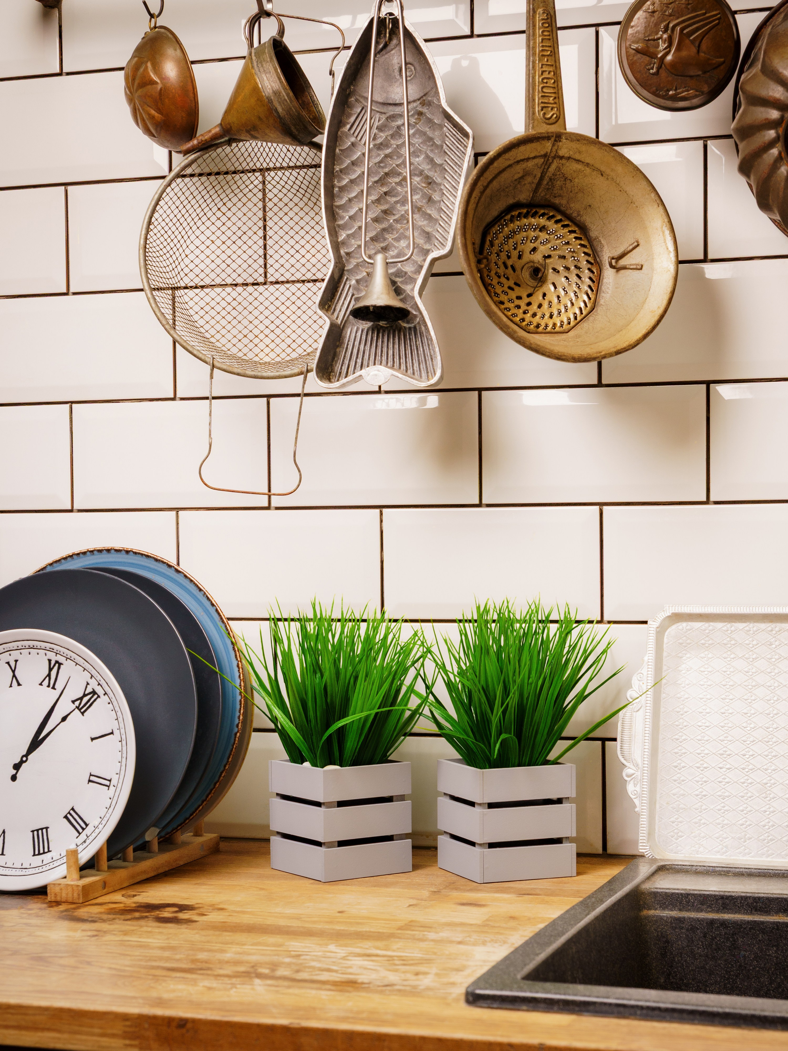 Кашпо. Макаров Сергей|Creamlebot Фотограф города Ростов-на-Дону