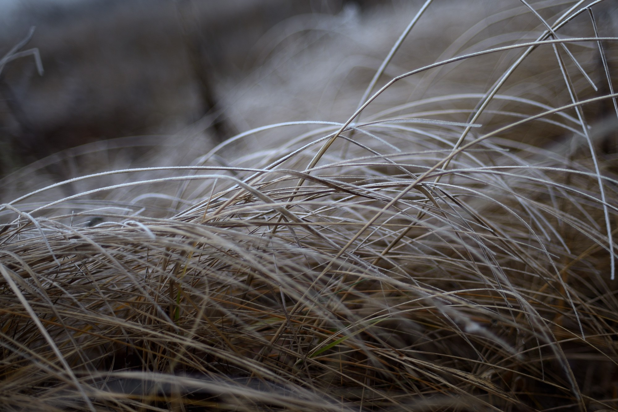 Фотограф Константин Ясинский
