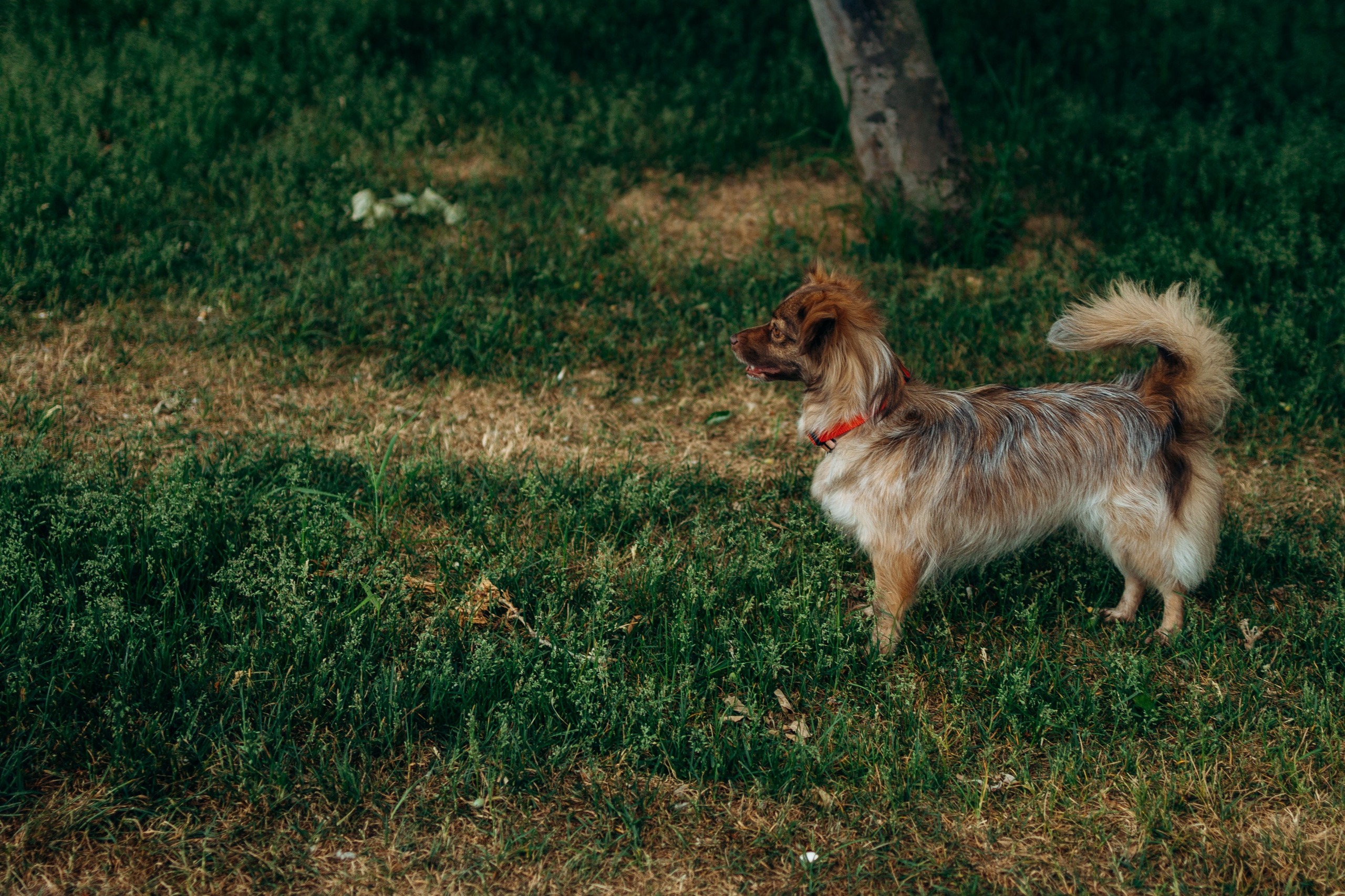 Дарья и Ассоль