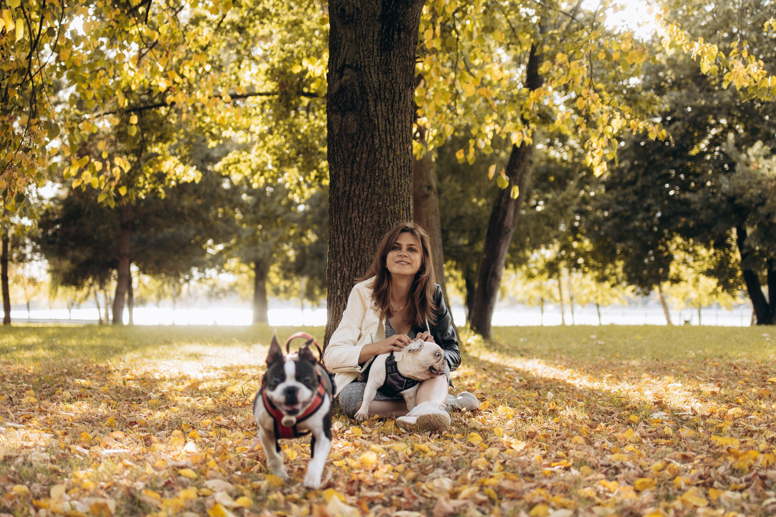 Оля и бульдоги