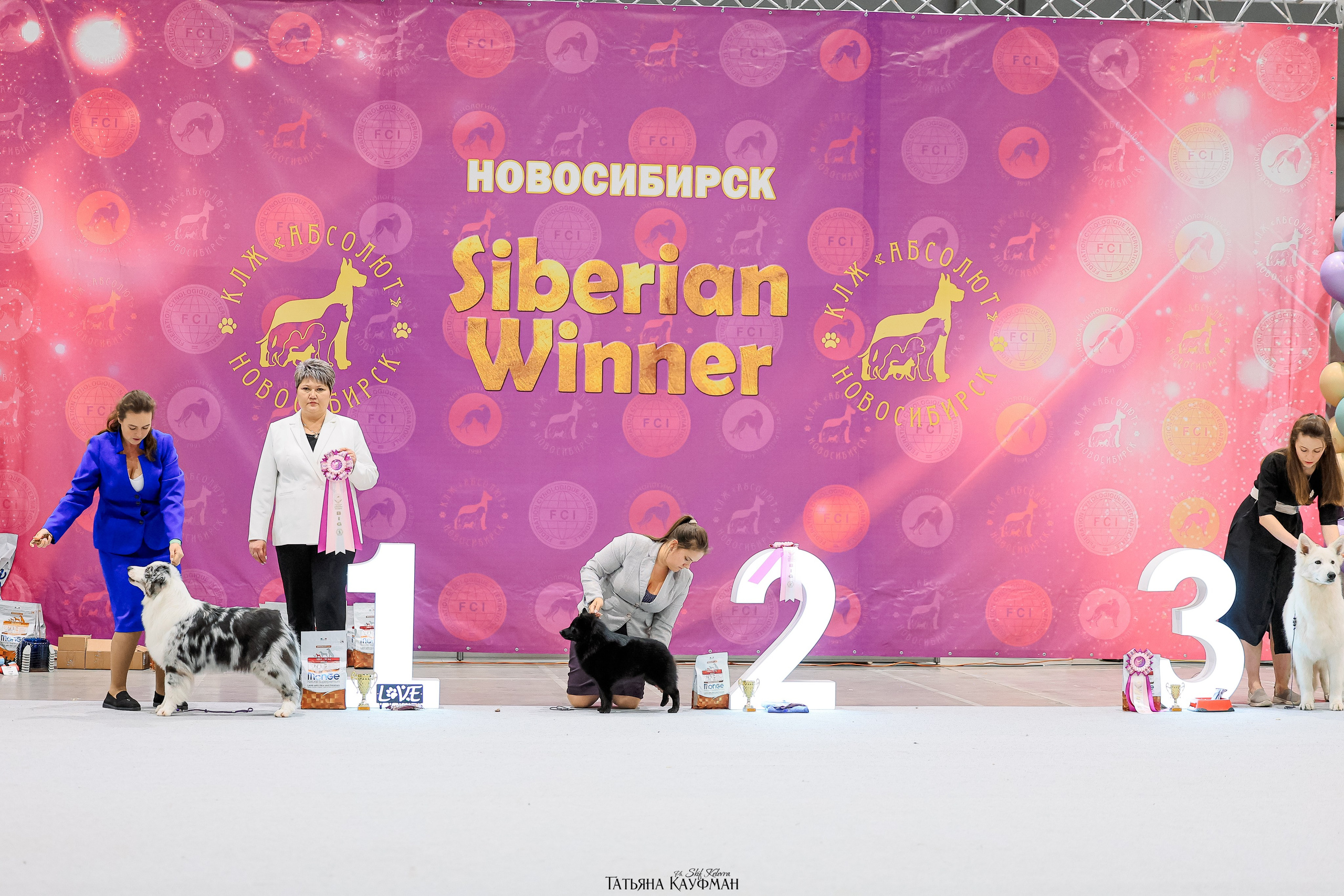 28-29.03.2026 Рейтинговая выставка в Новосибирске. Фотограф Анималист из Новосибирска Татьяна Кауфман