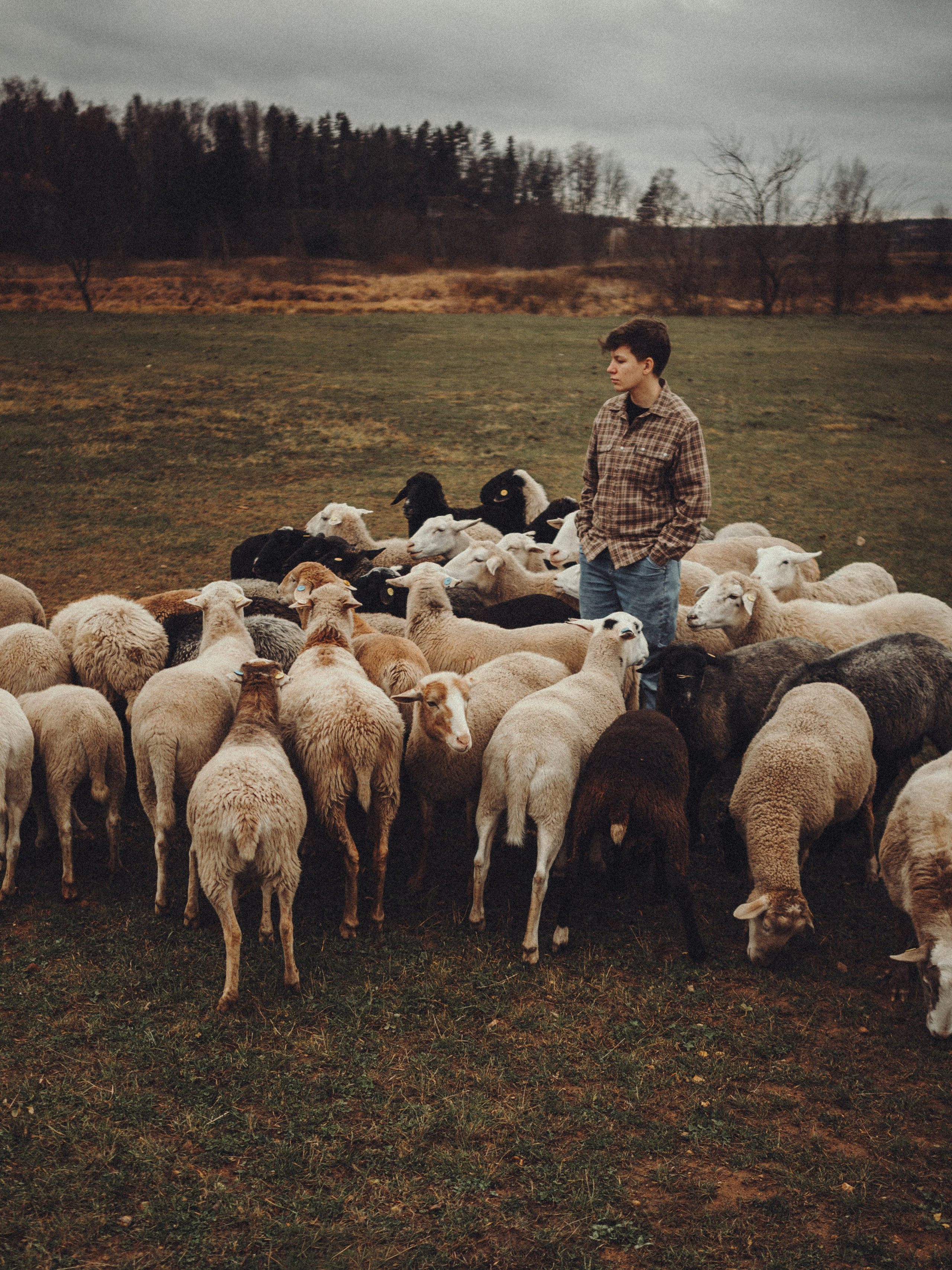 Настя и Рэги на ферме. Семейный фотограф анималист Ананьева Мария — Москва
