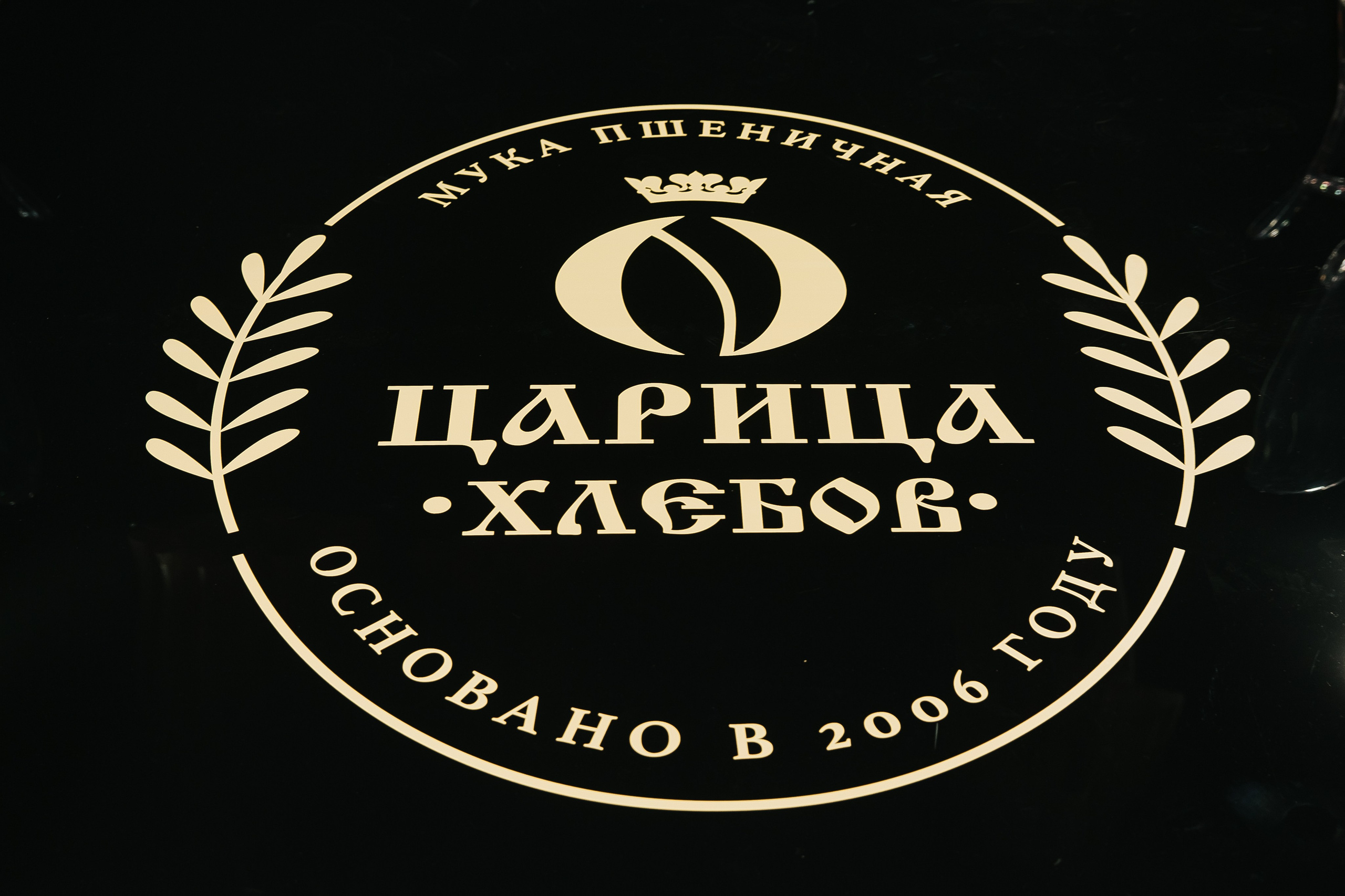 Сосны. Фотограф в Красноярске Любовь Малеева